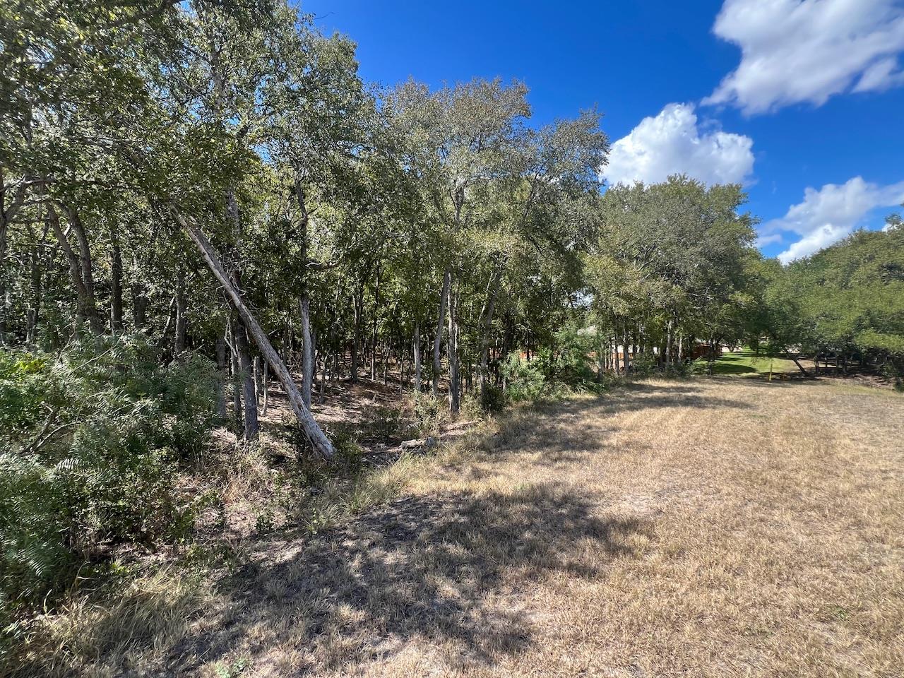 TBD Pierce St, Luling, TX 78648