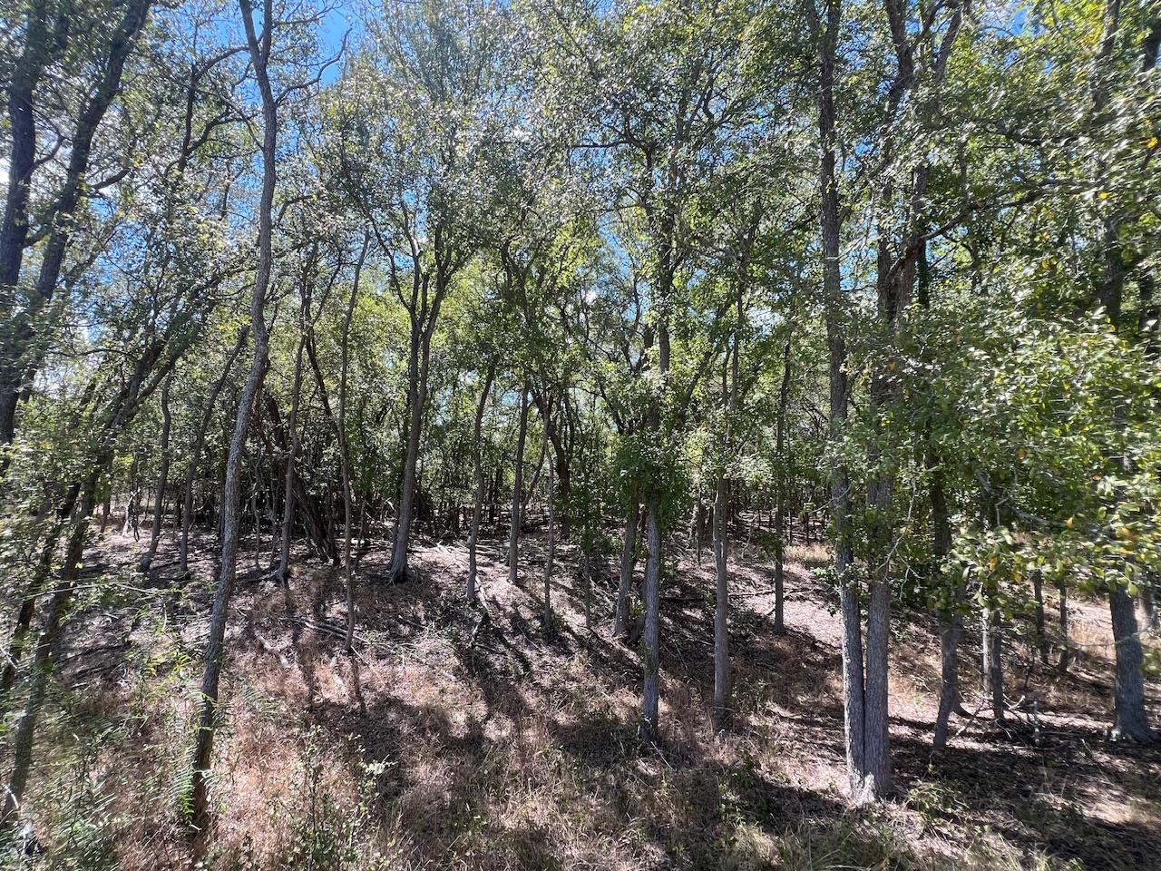 TBD Pierce St, Luling, TX 78648