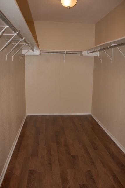 604 Trail Dust Dr, Cedar Park, TX 78613