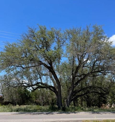 20703 High Dr, Lago Vista, TX 78645