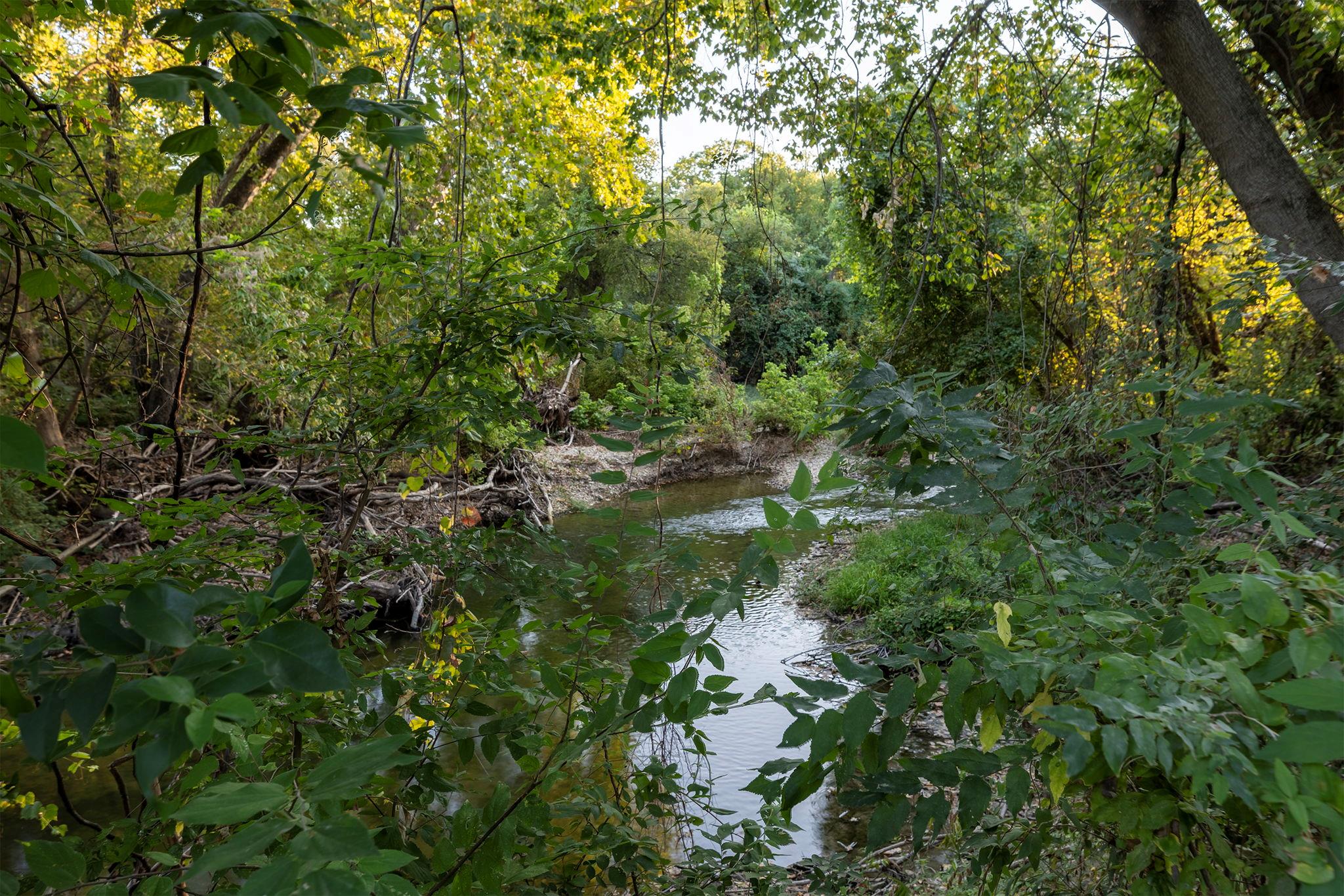 2681 Sam Bass Rd, Round Rock, TX 78681