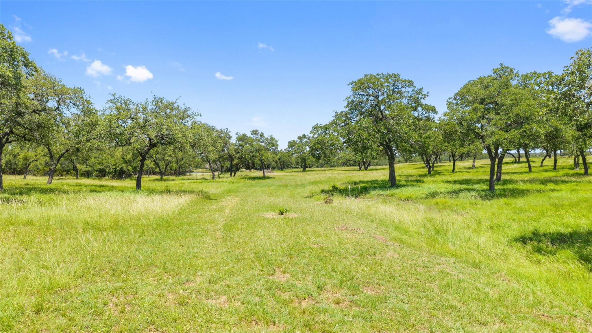 5059 Trainer Wuest Rd, Blanco, TX 78606