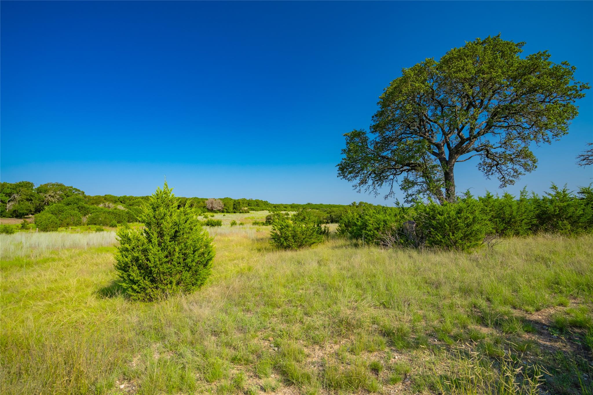 2801 County Road 228, Florence, TX 76527