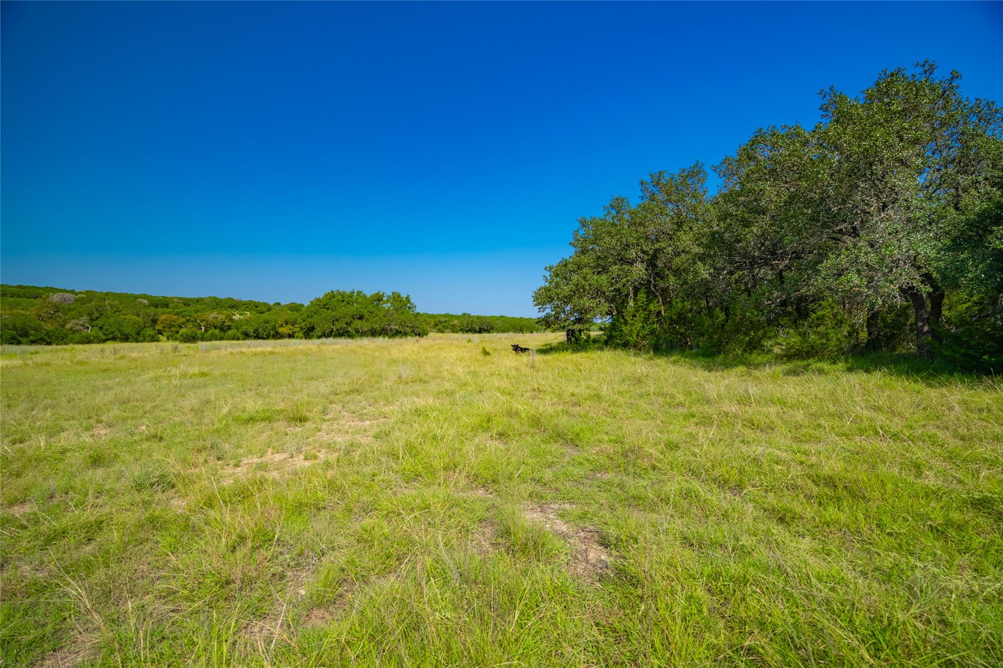 2801 County Road 228, Florence, TX 76527