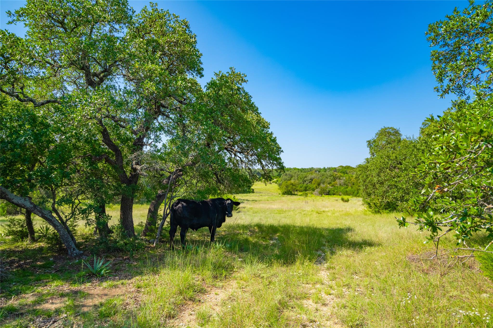 2801 County Road 228, Florence, TX 76527