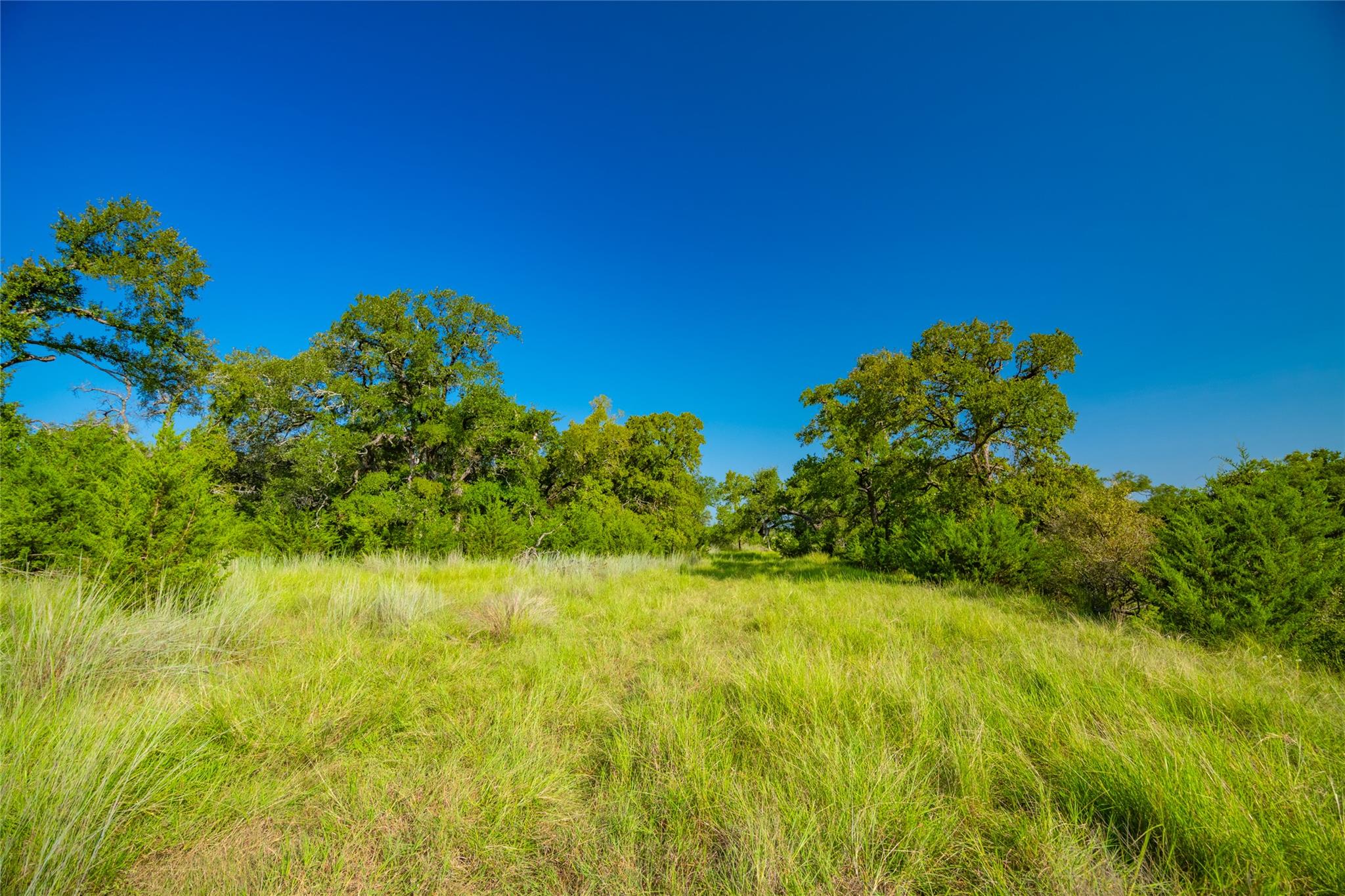 2801 County Road 228, Florence, TX 76527