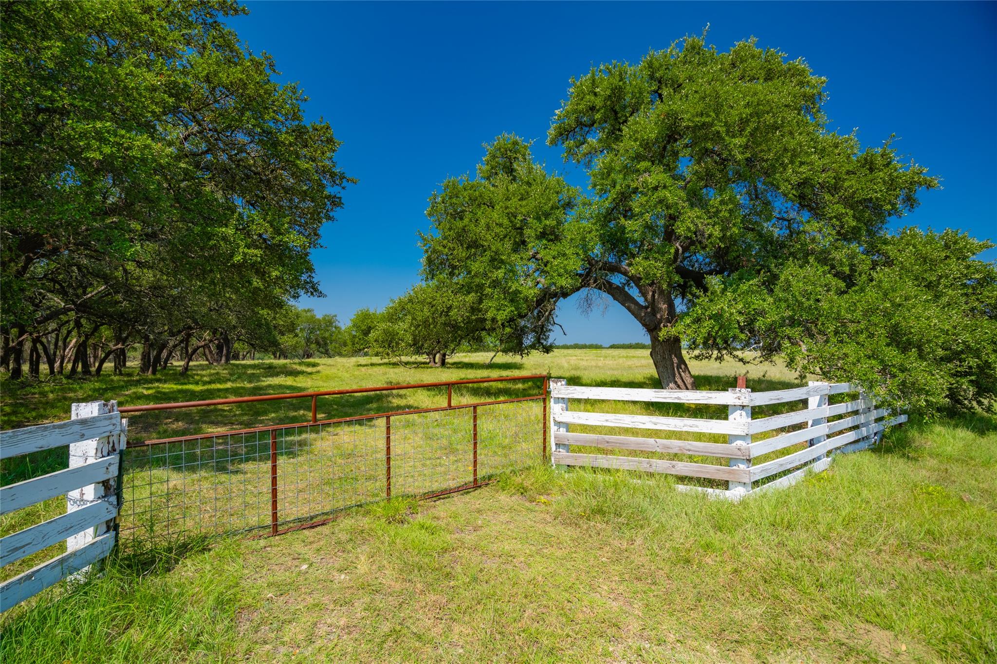 2801 County Road 228, Florence, TX 76527