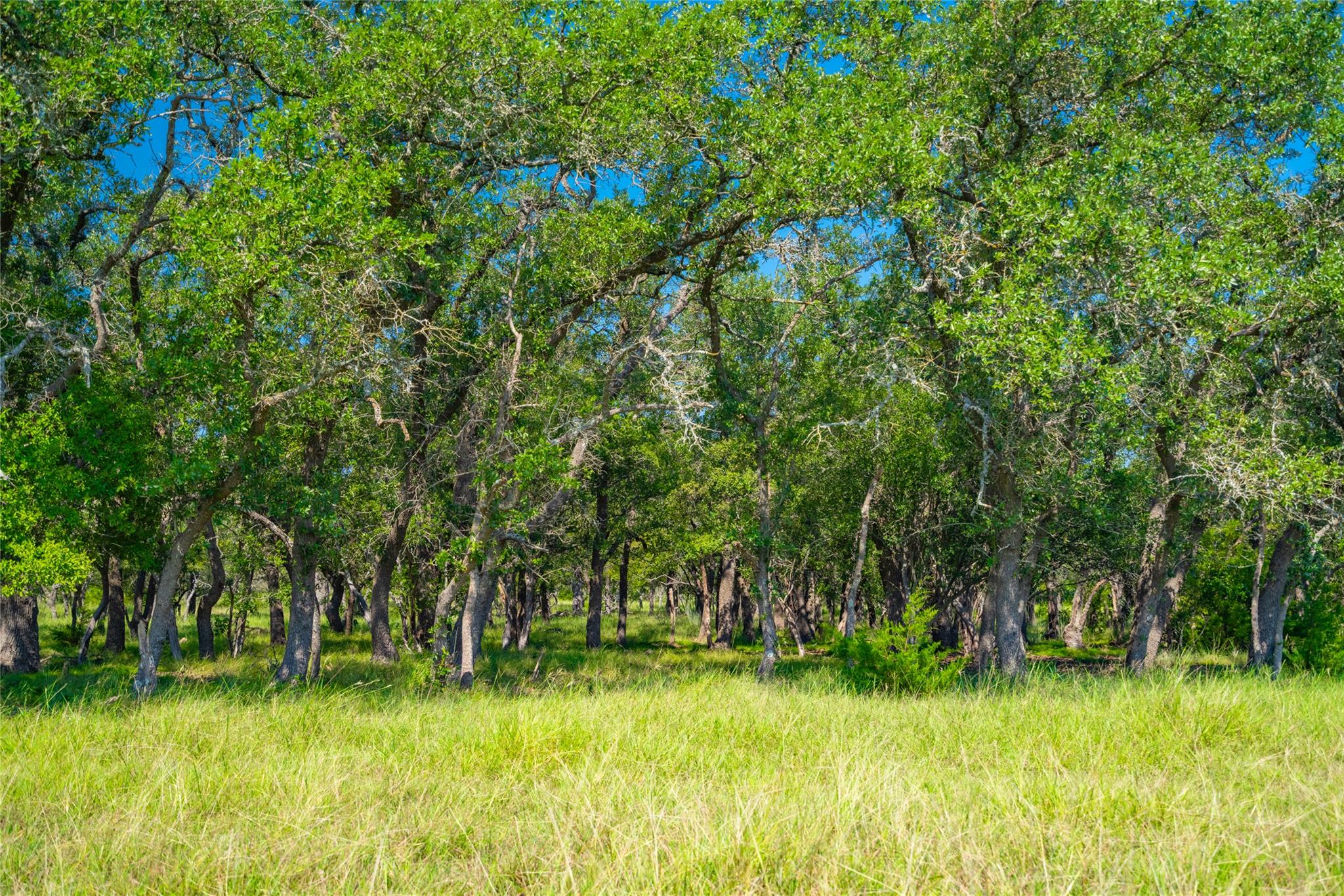 2801 County Road 228, Florence, TX 76527