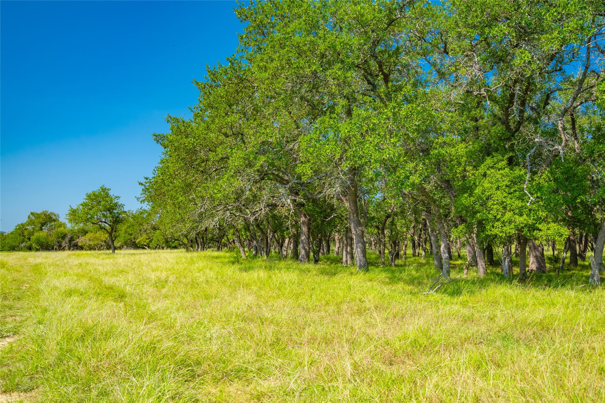 2801 County Road 228, Florence, TX 76527