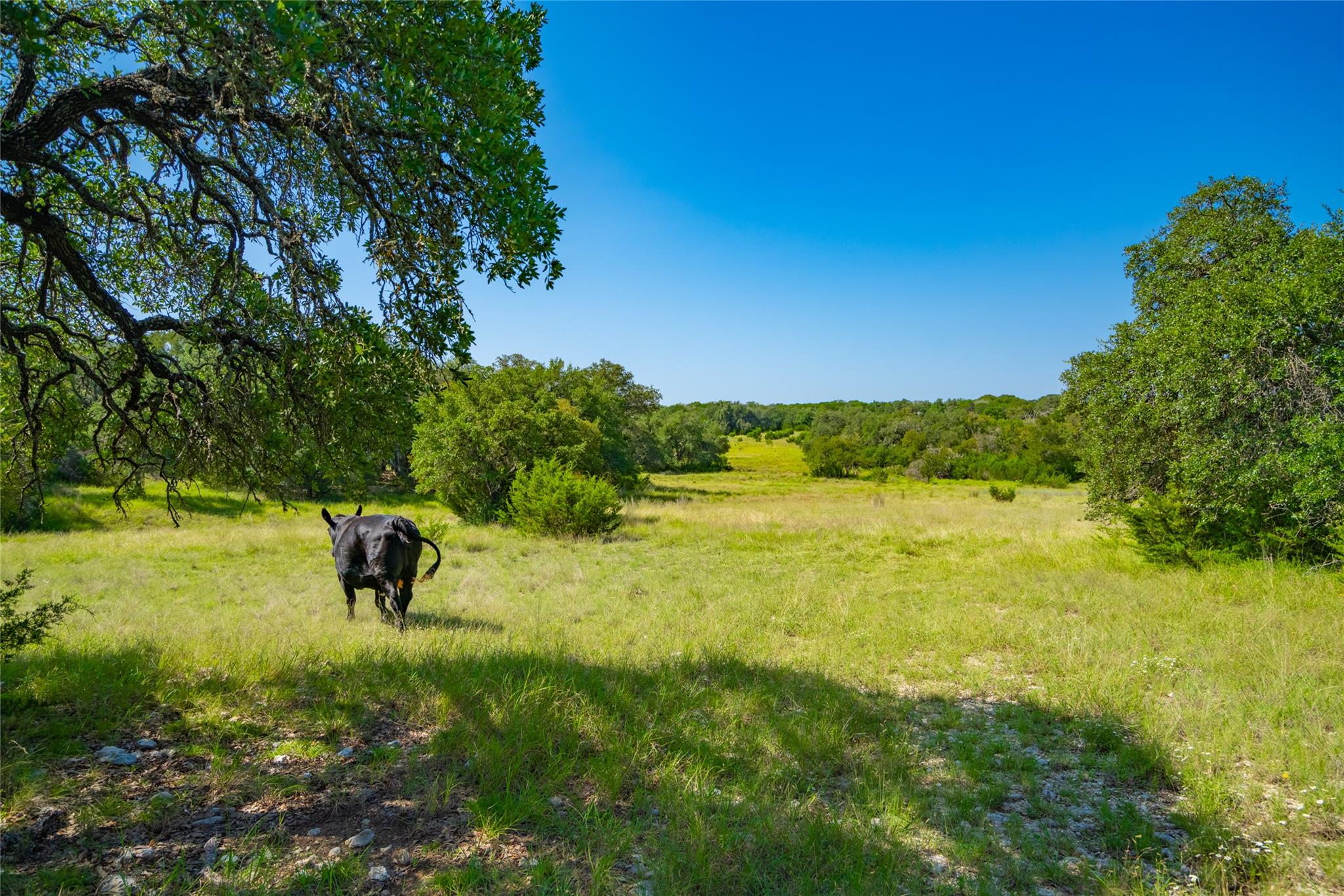 2801 County Road 228, Florence, TX 76527