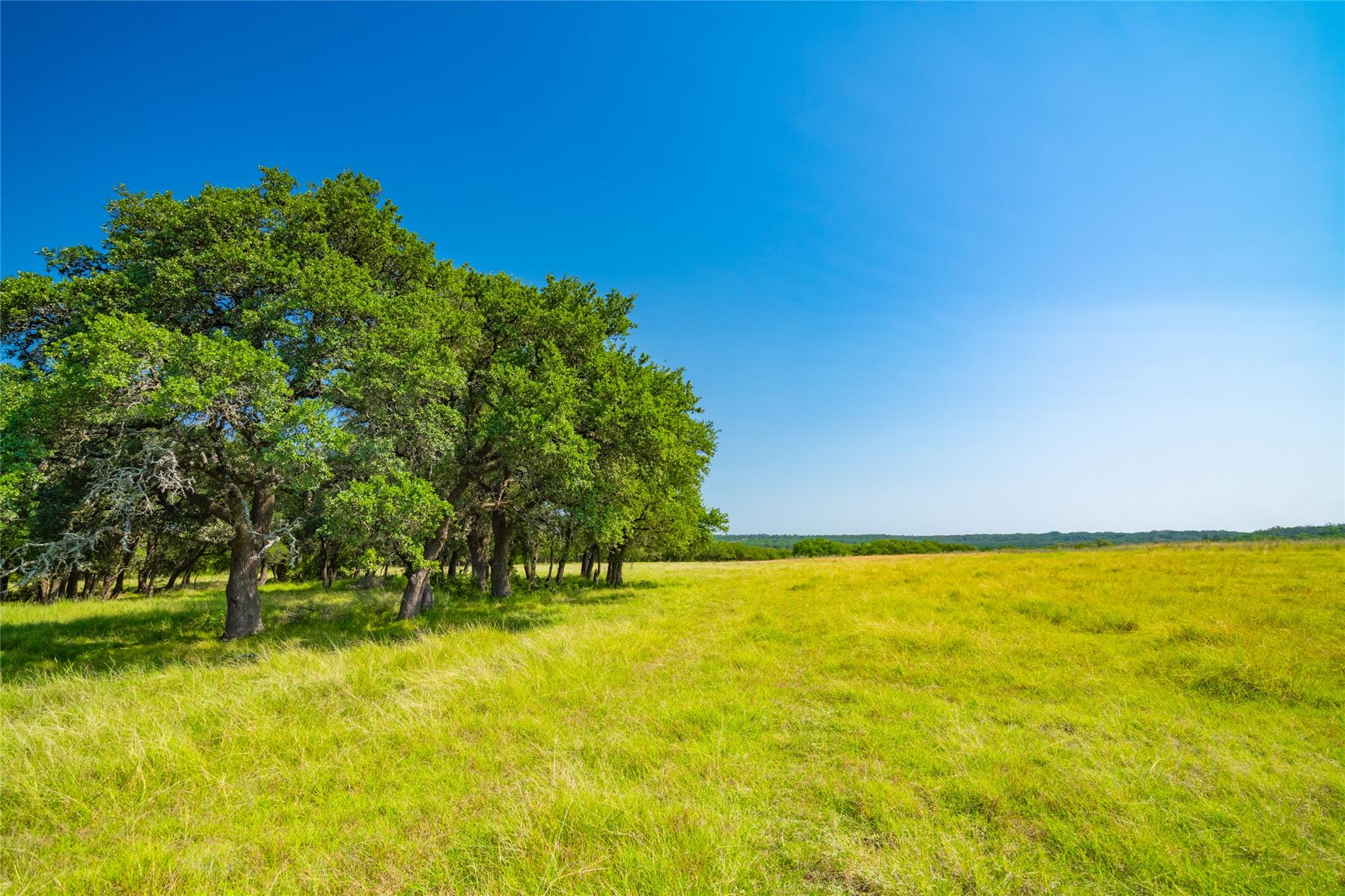2801 County Road 228, Florence, TX 76527