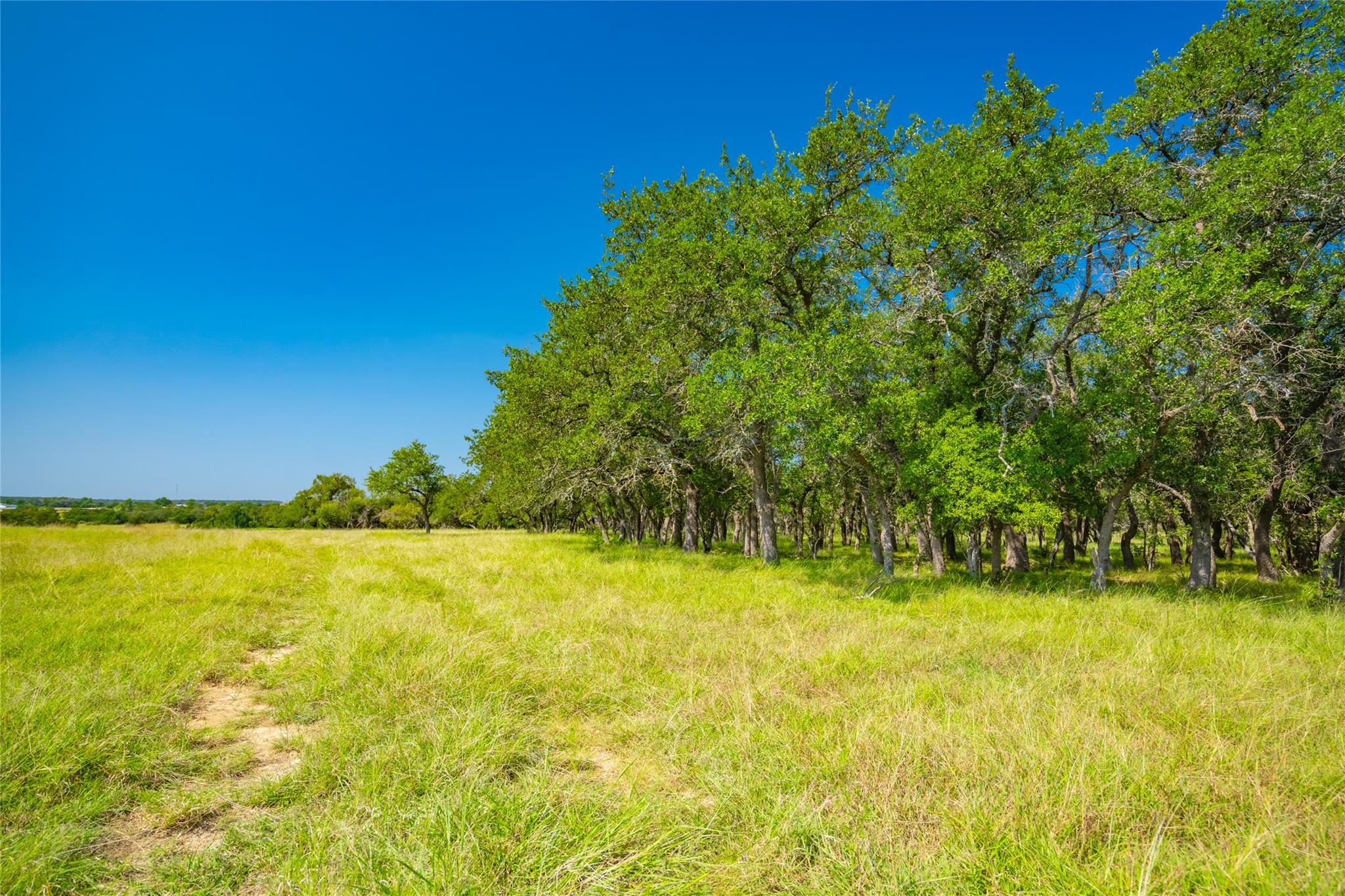 2801 County Road 228, Florence, TX 76527