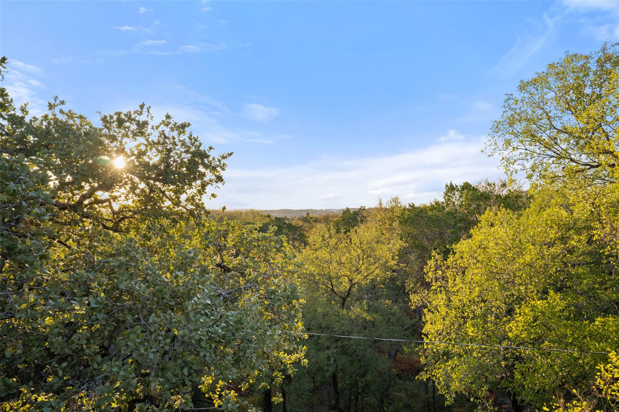 2209 Rae Dell Ave, Austin, TX 78704