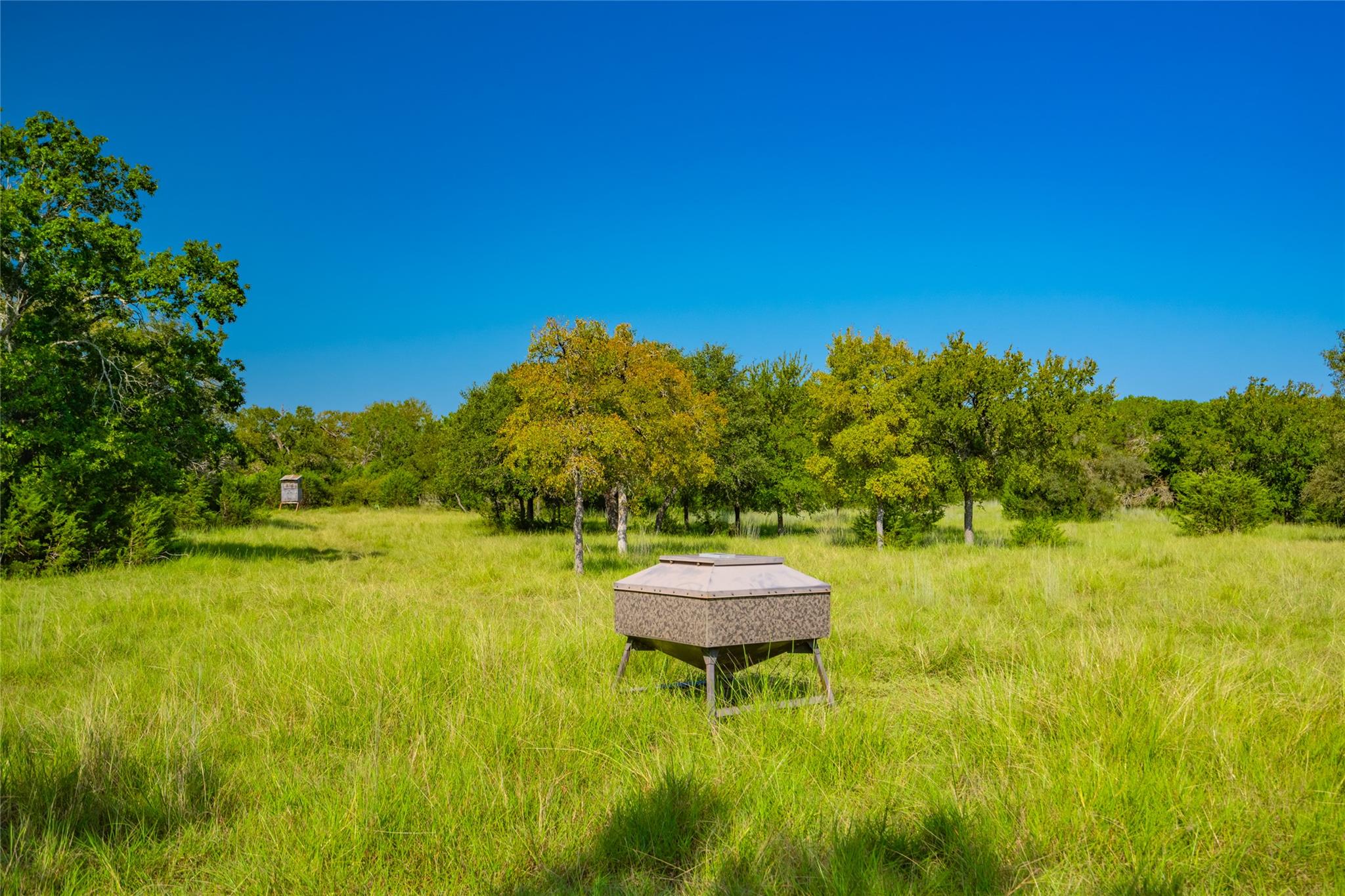 2901 County Road 228, Florence, TX 76527