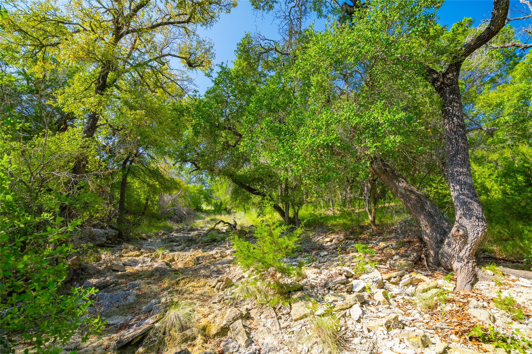 2901 County Road 228, Florence, TX 76527