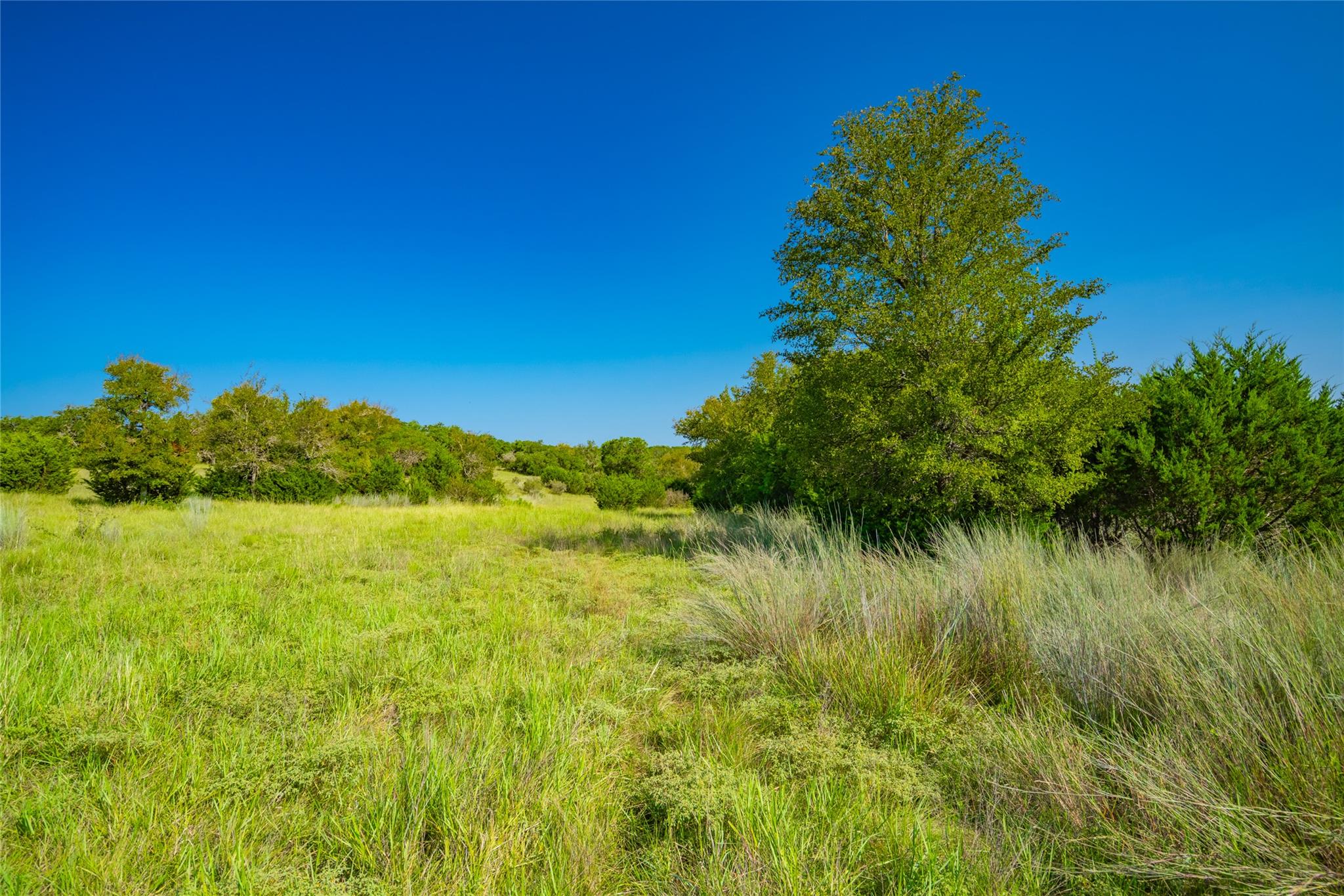 2901 County Road 228, Florence, TX 76527