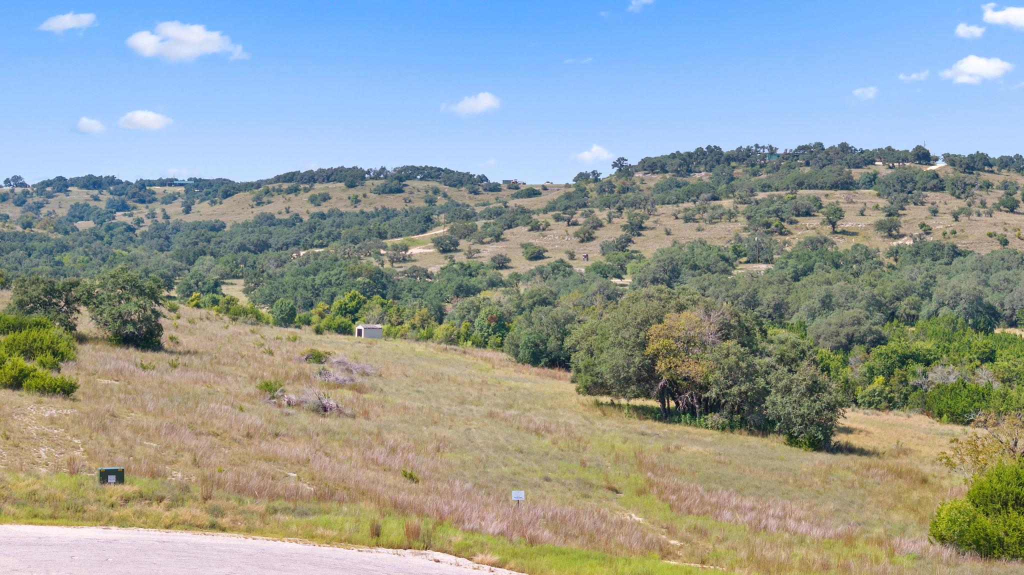 000 Flickering Sky Cir, Blanco, TX 78606