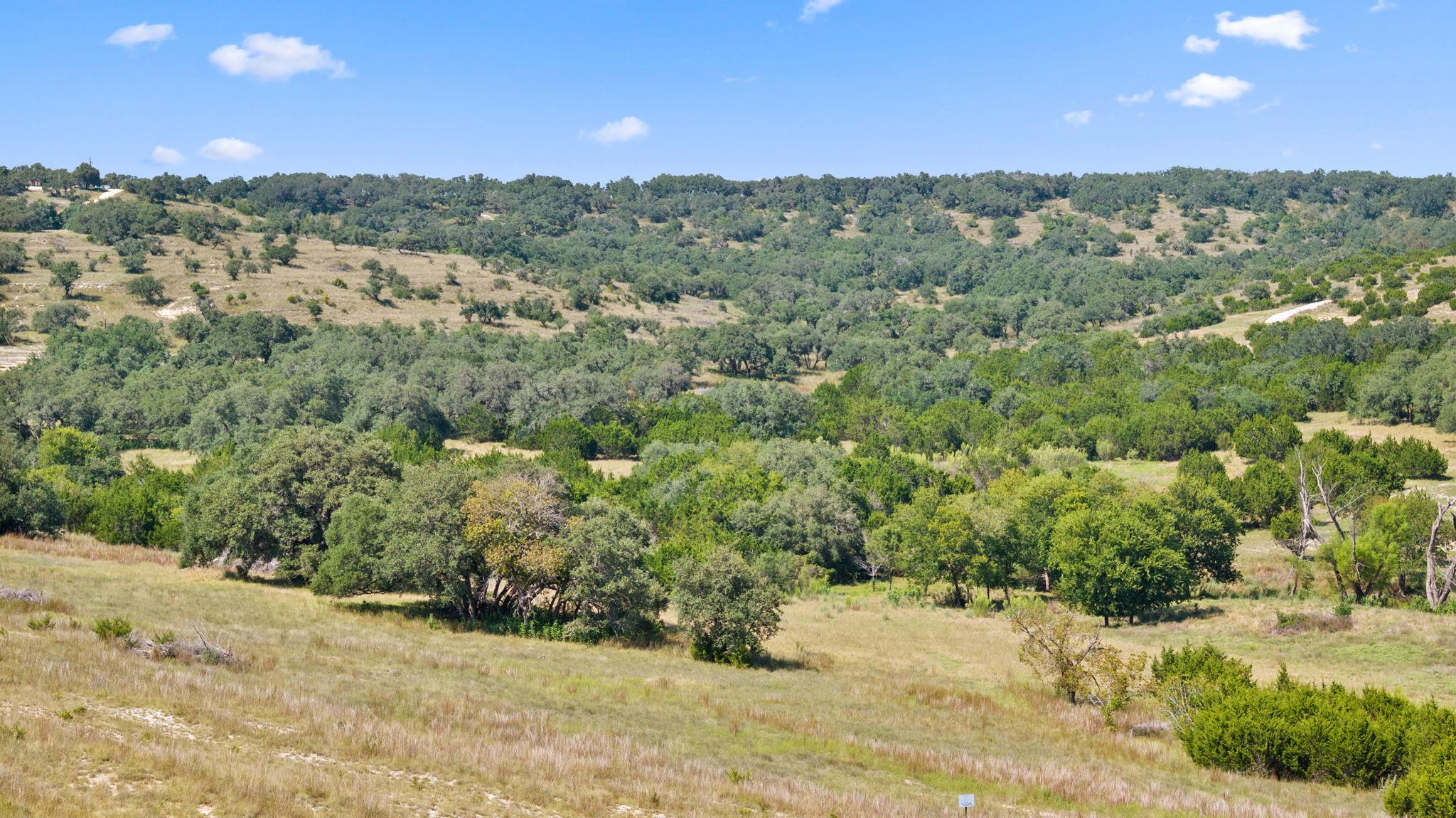 000 Flickering Sky Cir, Blanco, TX 78606