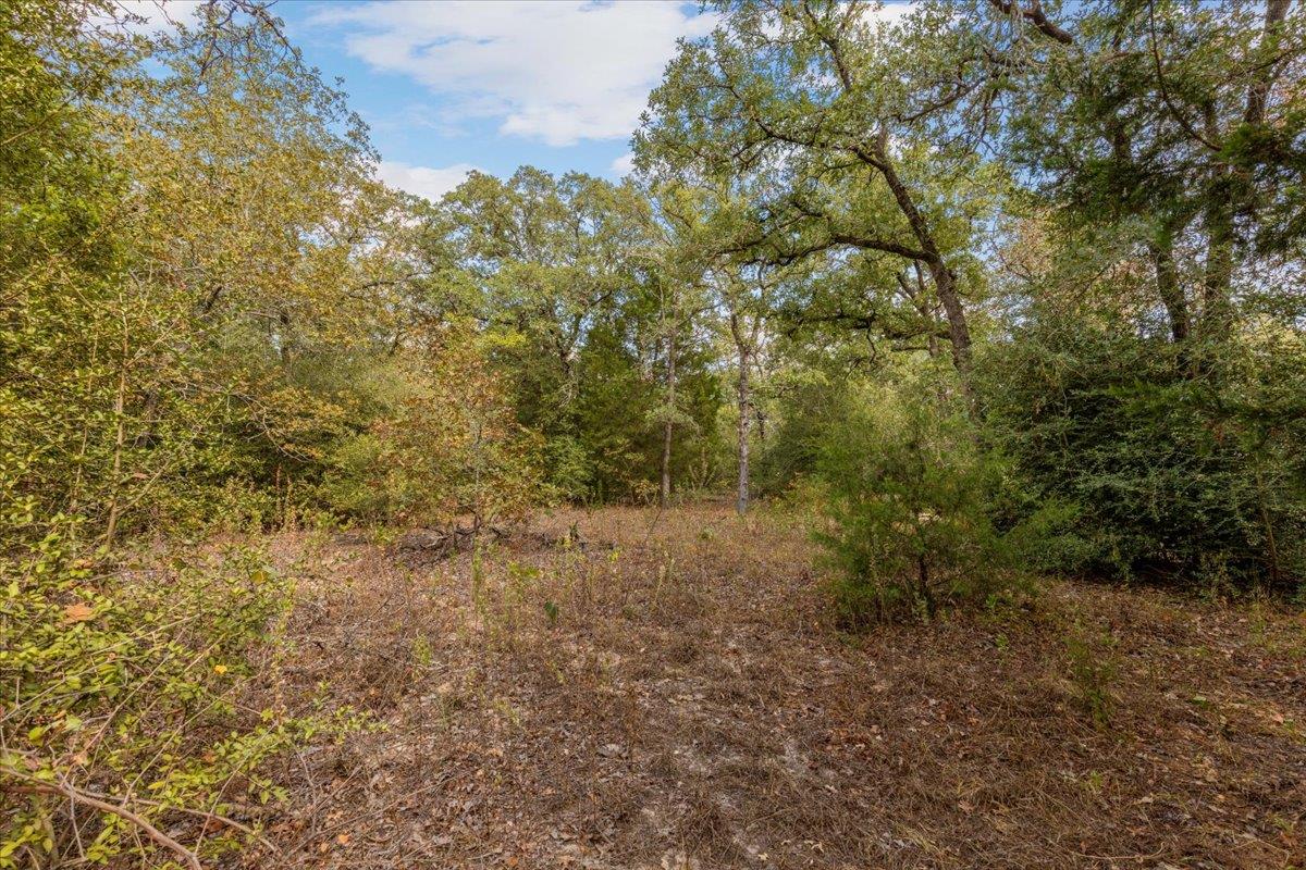 120 Twin Oaks Rd, Elgin, TX 78621