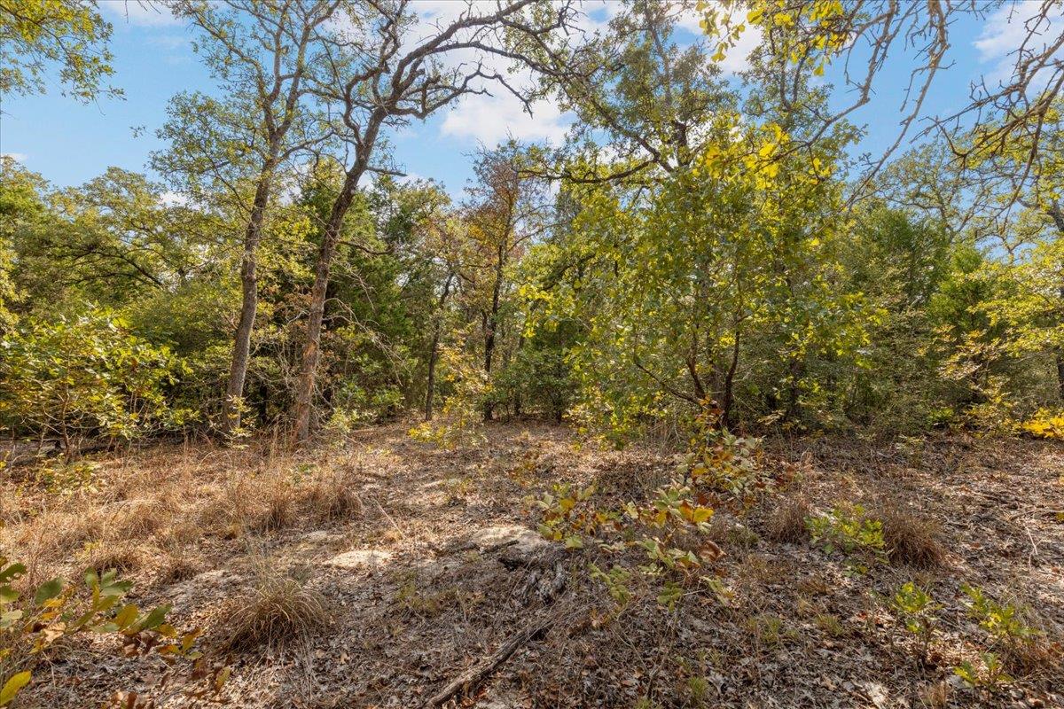 120 Twin Oaks Rd, Elgin, TX 78621