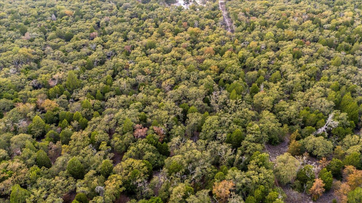 120 Twin Oaks Rd, Elgin, TX 78621