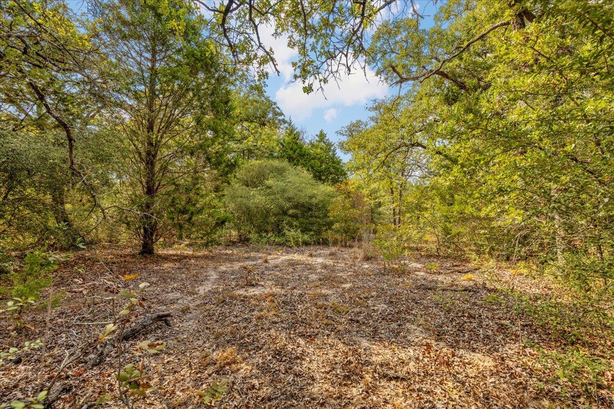 120 Twin Oaks Rd, Elgin, TX 78621