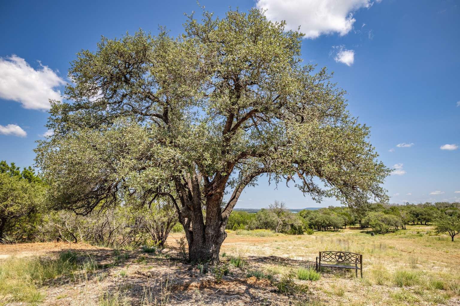 1337 PR 3440, Kempner, TX 76539