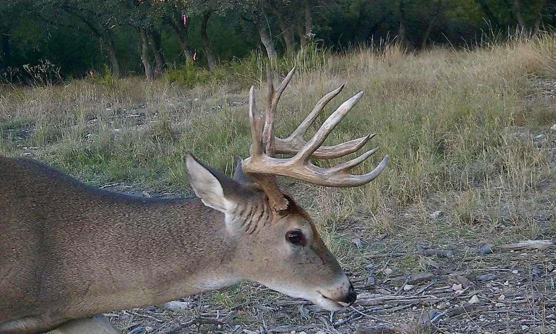 1337 PR 3440, Kempner, TX 76539