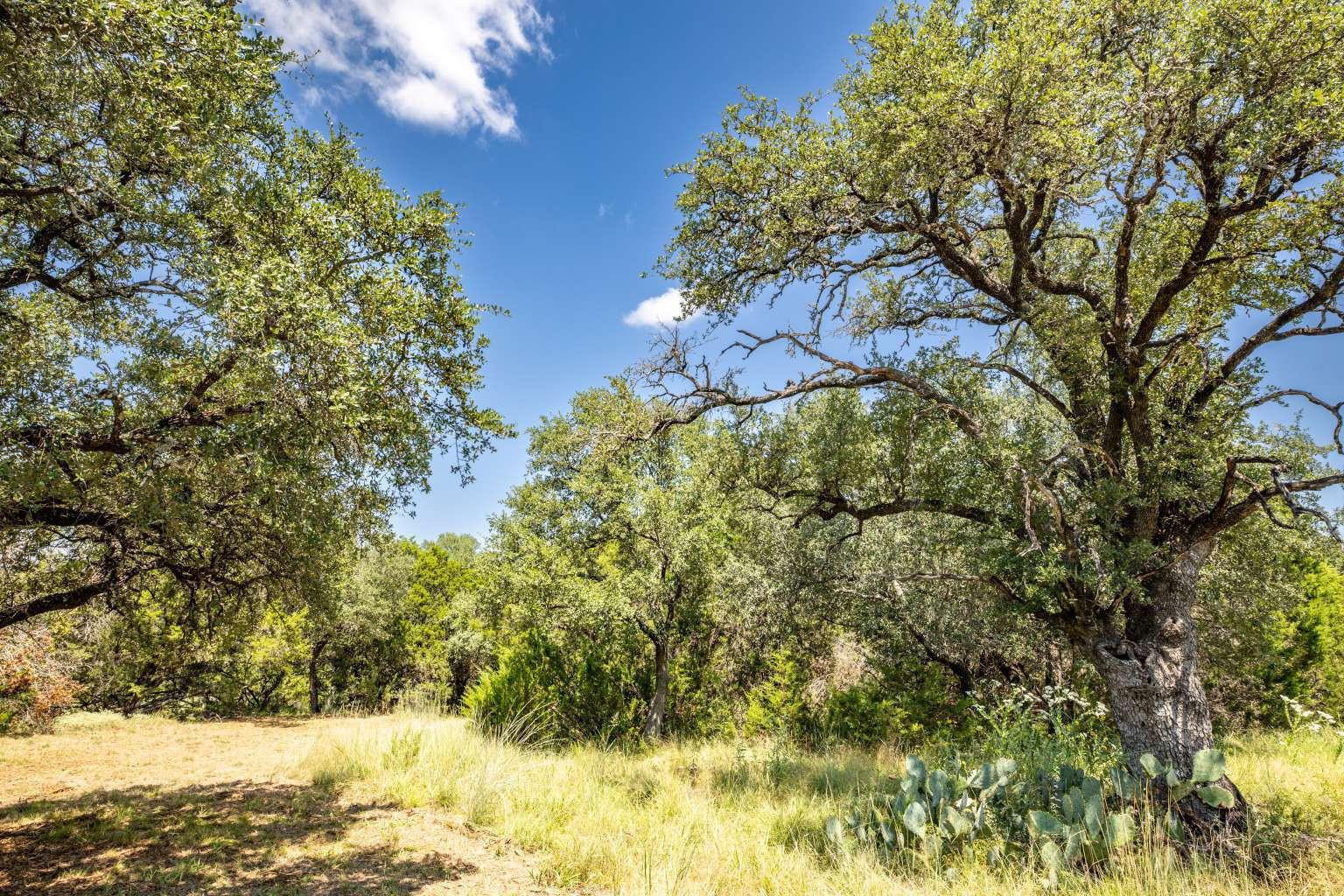 1337 PR 3440, Kempner, TX 76539