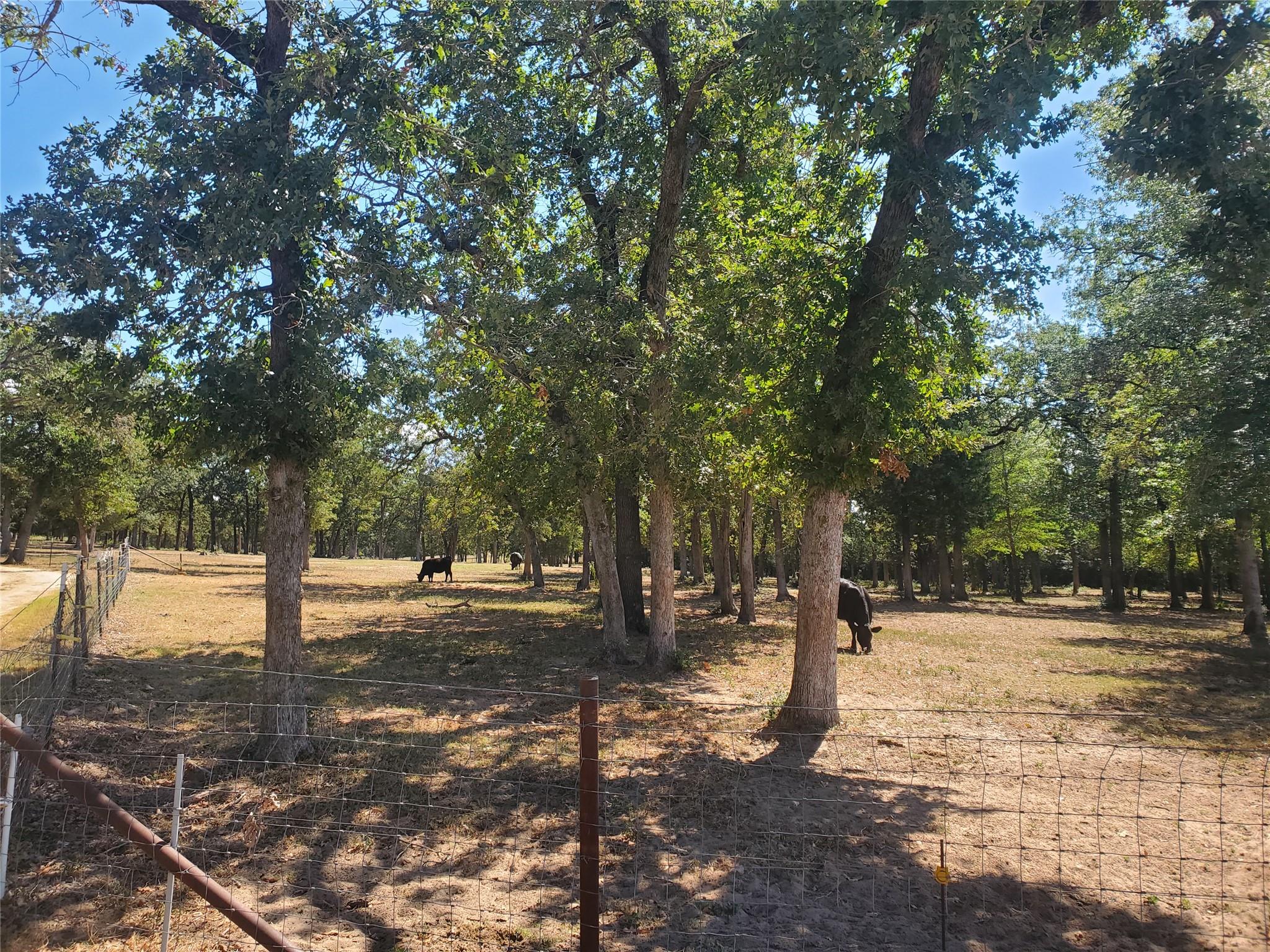 4319 County Road 455, Thorndale, TX 76577