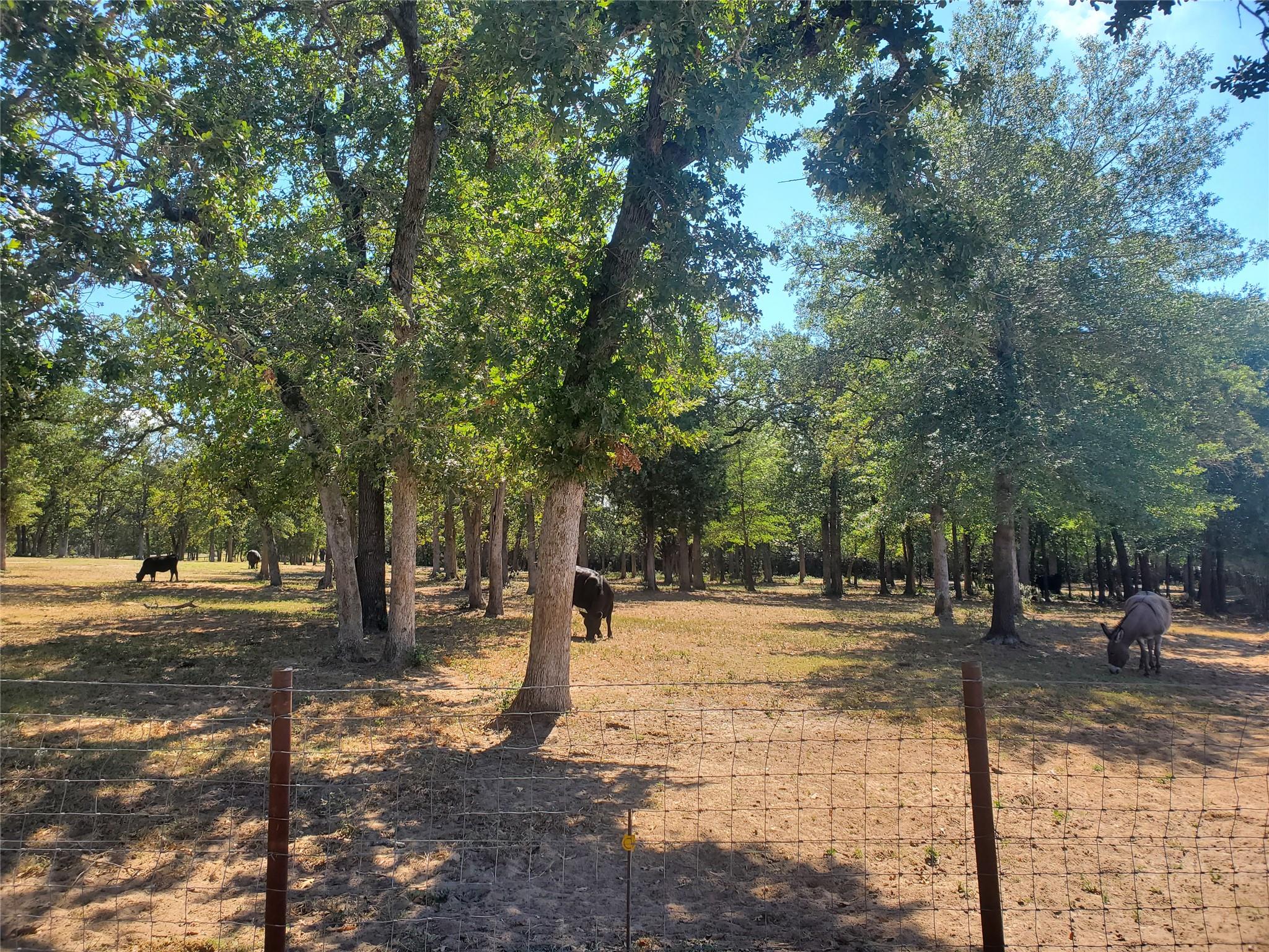 4319 County Road 455, Thorndale, TX 76577