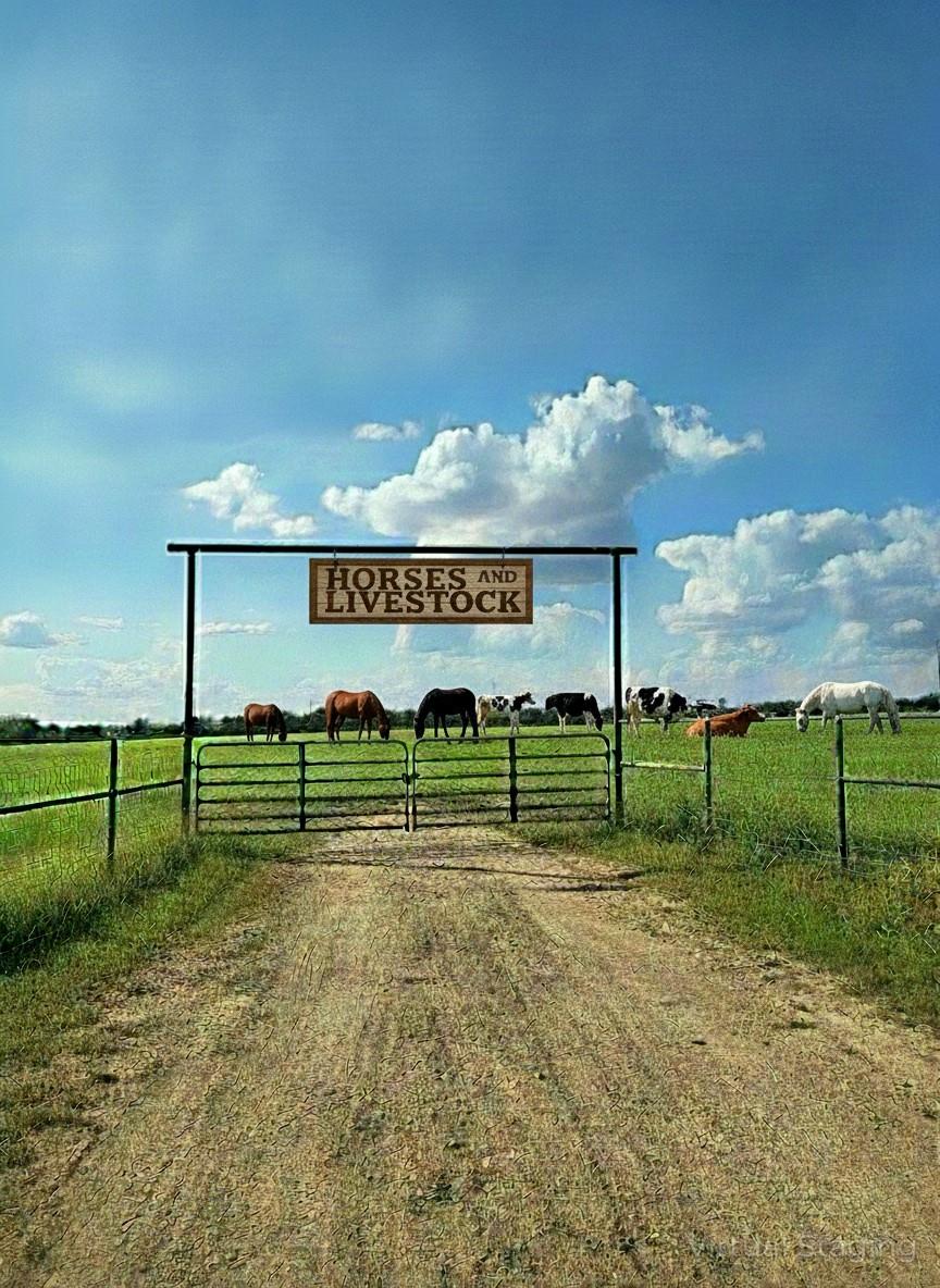 2838 County Road 201, Cameron, TX 76520