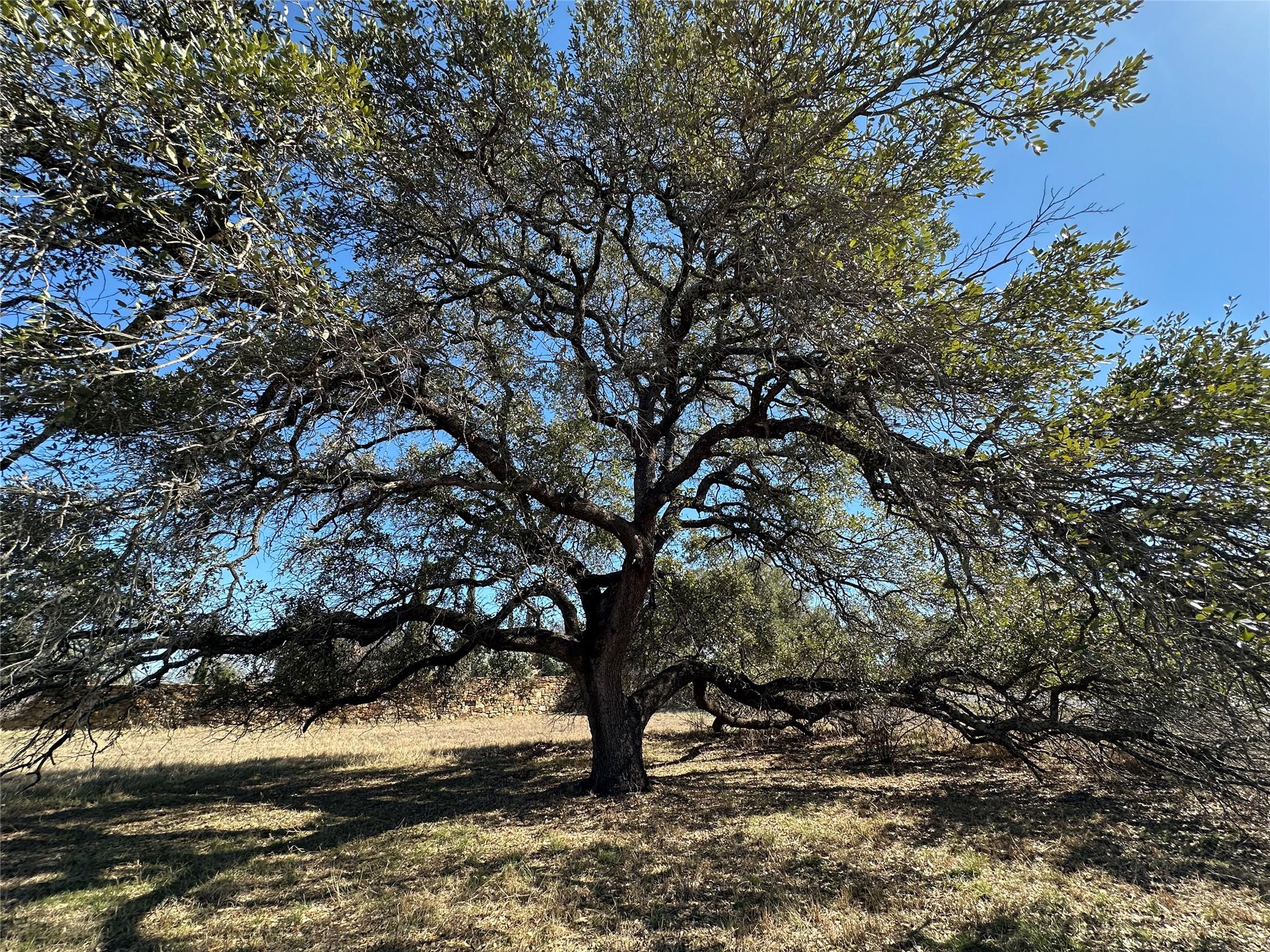 104 La Lucita, Horseshoe Bay, TX 78657