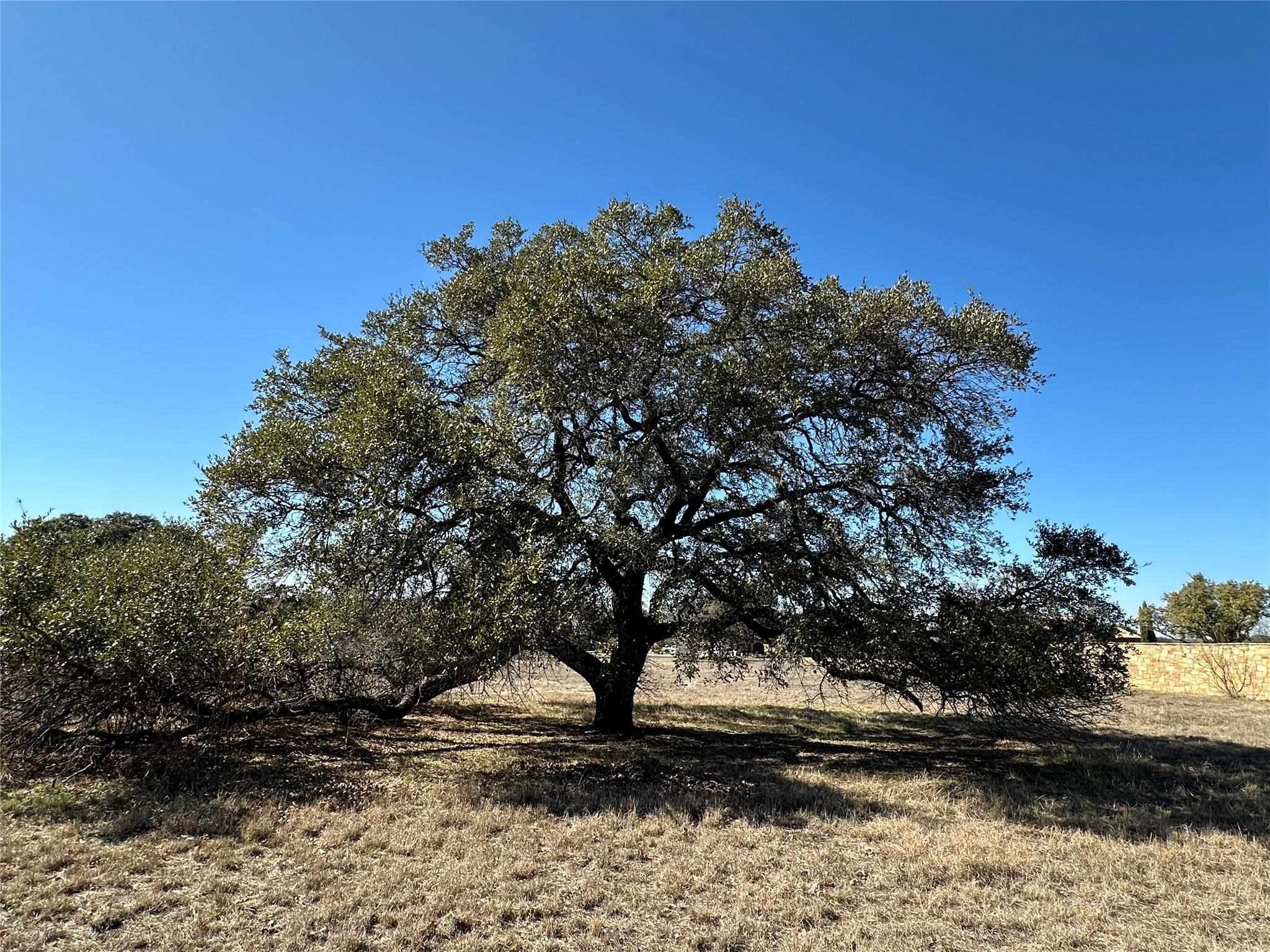 104 La Lucita, Horseshoe Bay, TX 78657