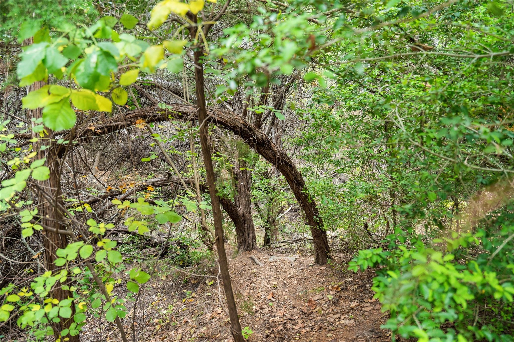 12214 Cottage Promenade Ct, Austin, TX 78753