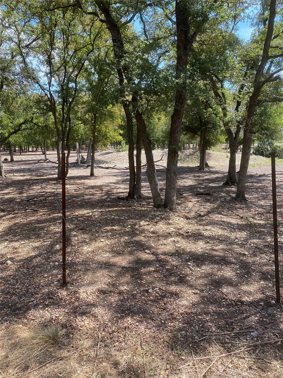 123 Oak Forest Ct, Cedar Creek, TX 78612