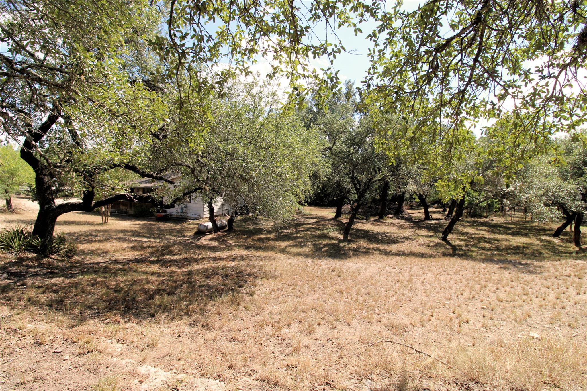 17201 Oak Cliff Cir, Dripping Springs, TX 78620