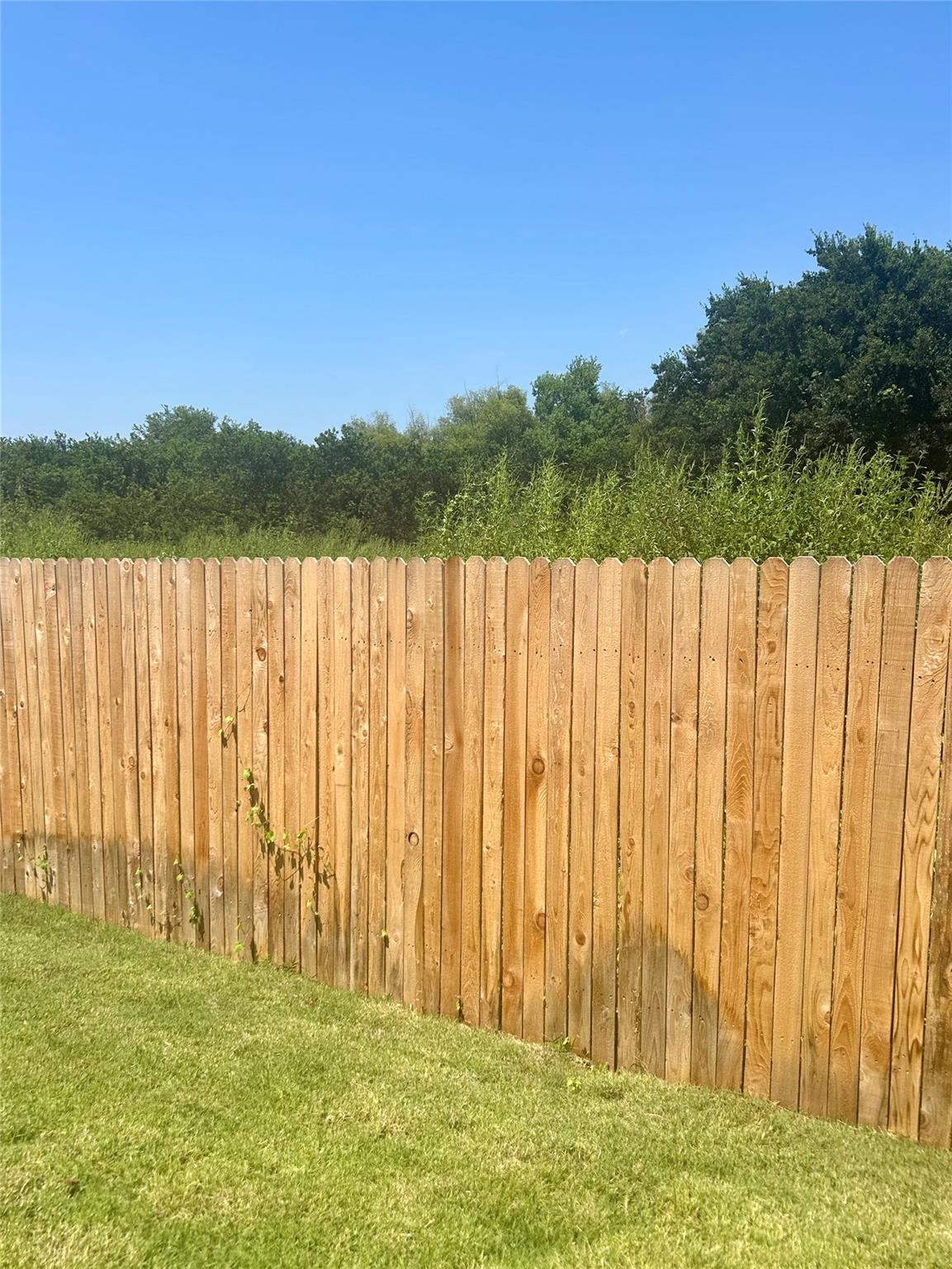 1489 Soapstone Pass, San Marcos, TX 78666