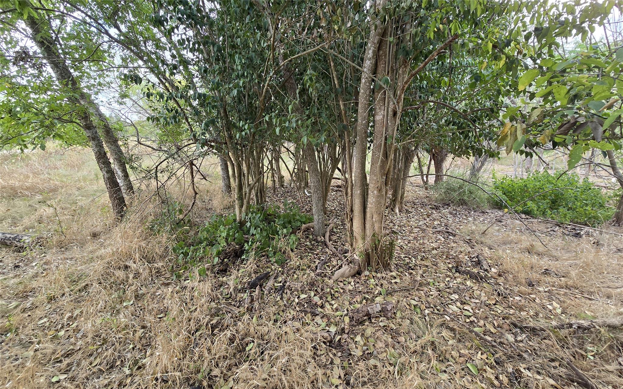 301 Caney Creek Rd, New Braunfels, TX 78130