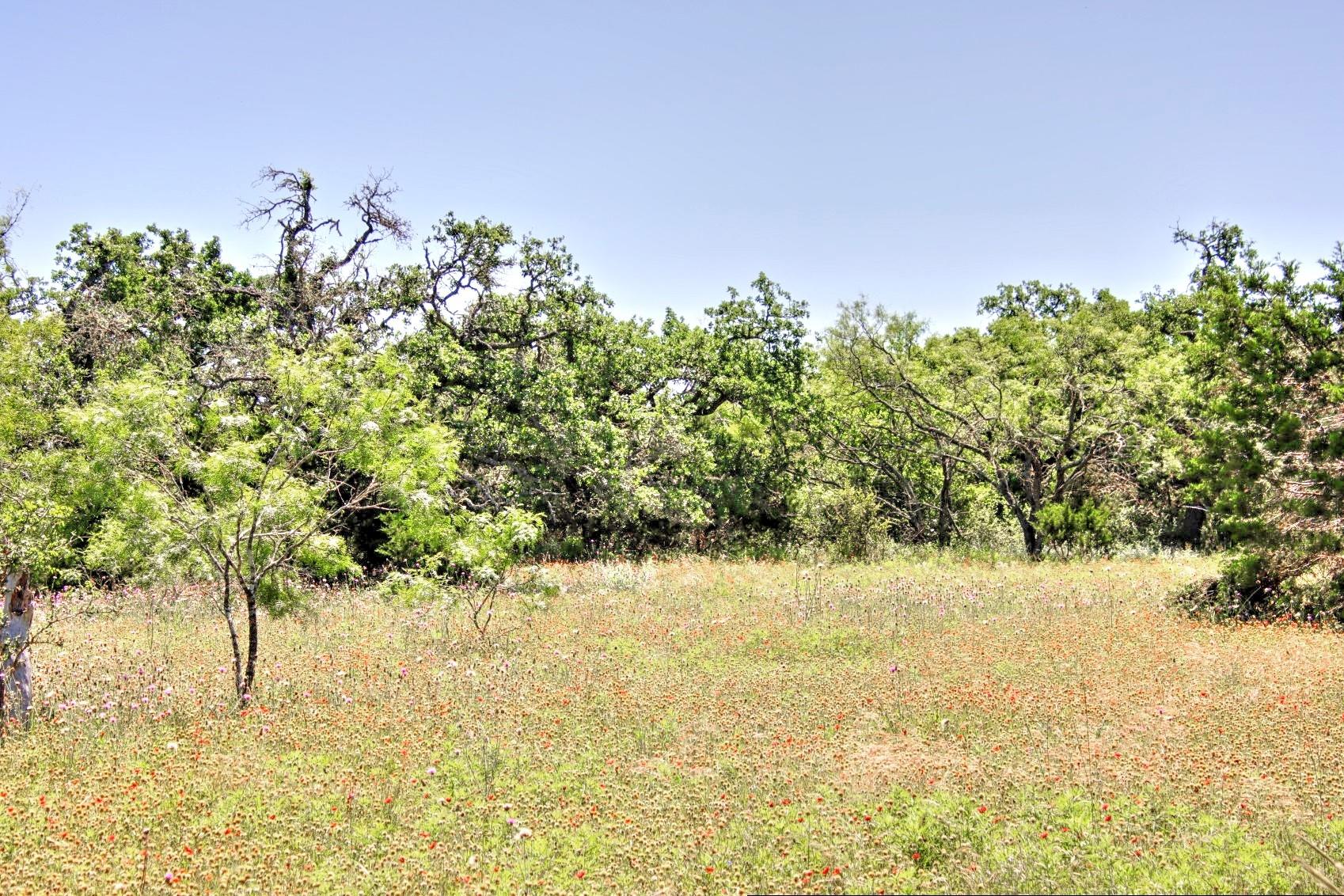 Lot 6 RM 1323, Willow City, TX 78675