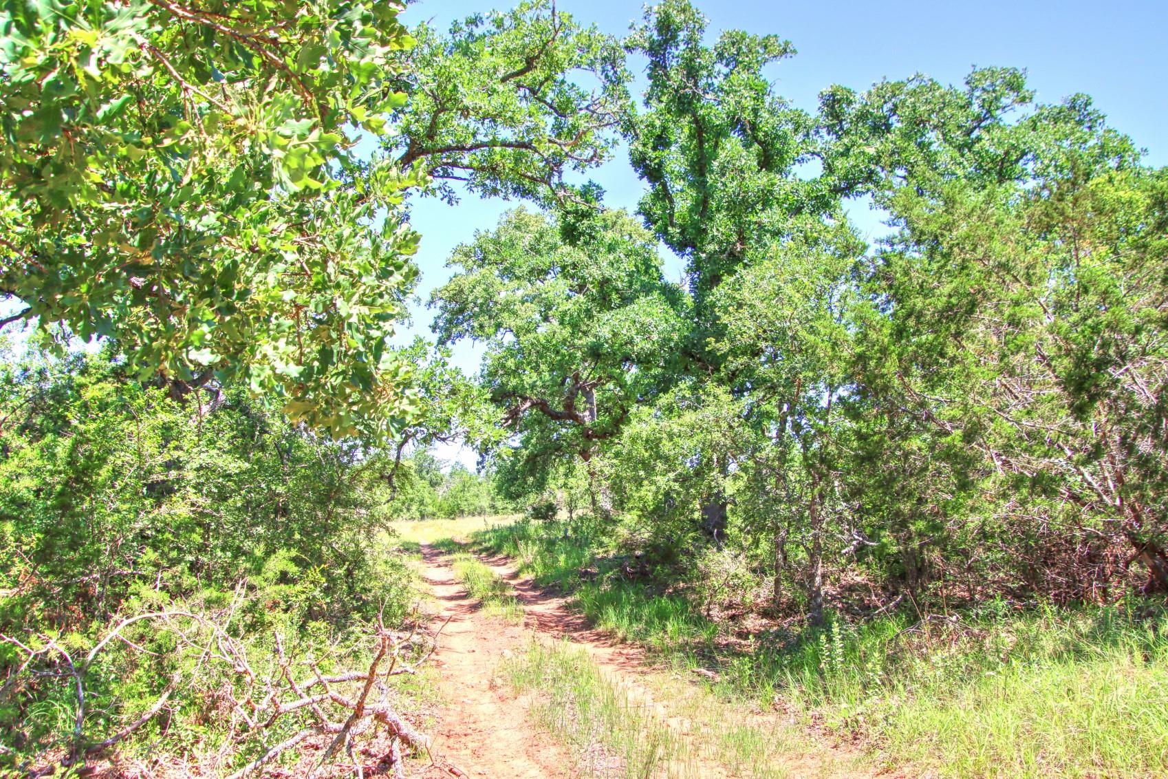 Lot 6 RM 1323, Willow City, TX 78675