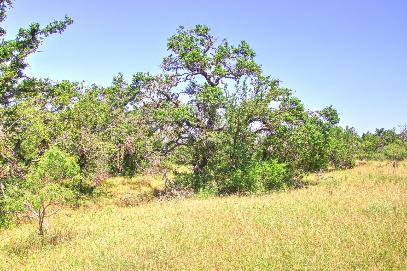 Lot 6 RM 1323, Willow City, TX 78675
