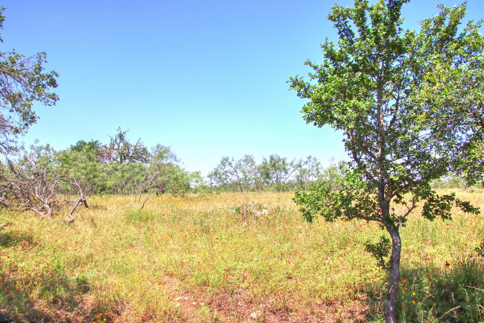 Lot 6 RM 1323, Willow City, TX 78675