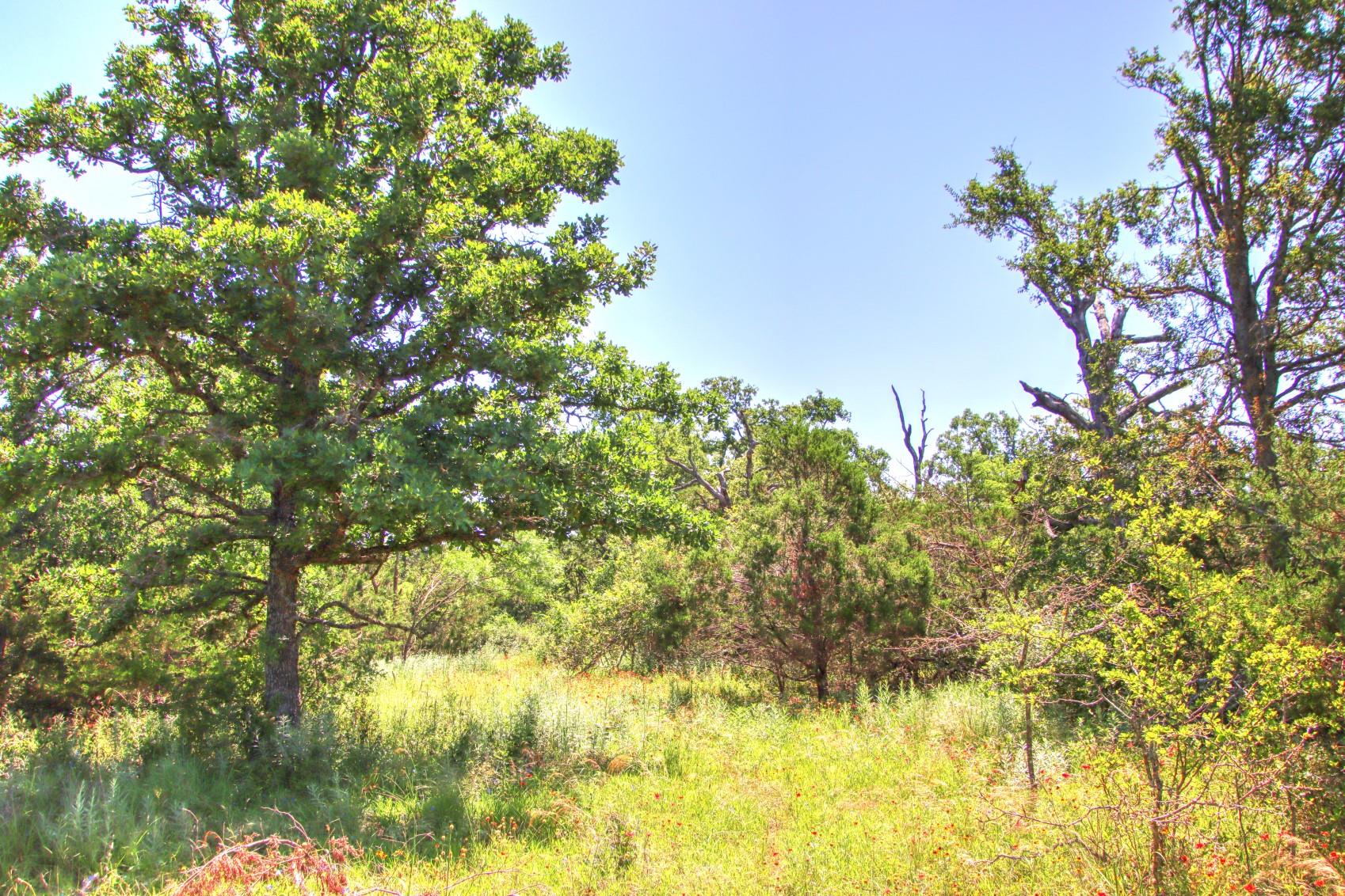 Lot 6 RM 1323, Willow City, TX 78675