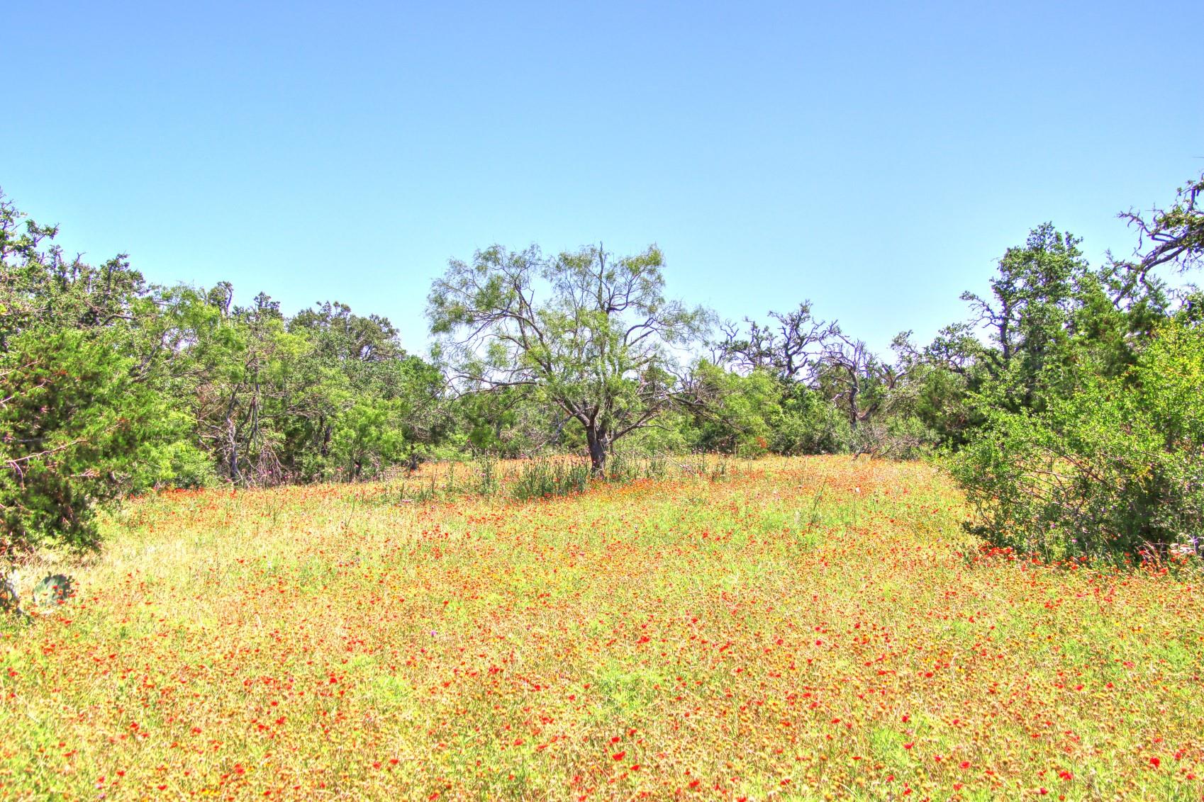 Lot 6 RM 1323, Willow City, TX 78675