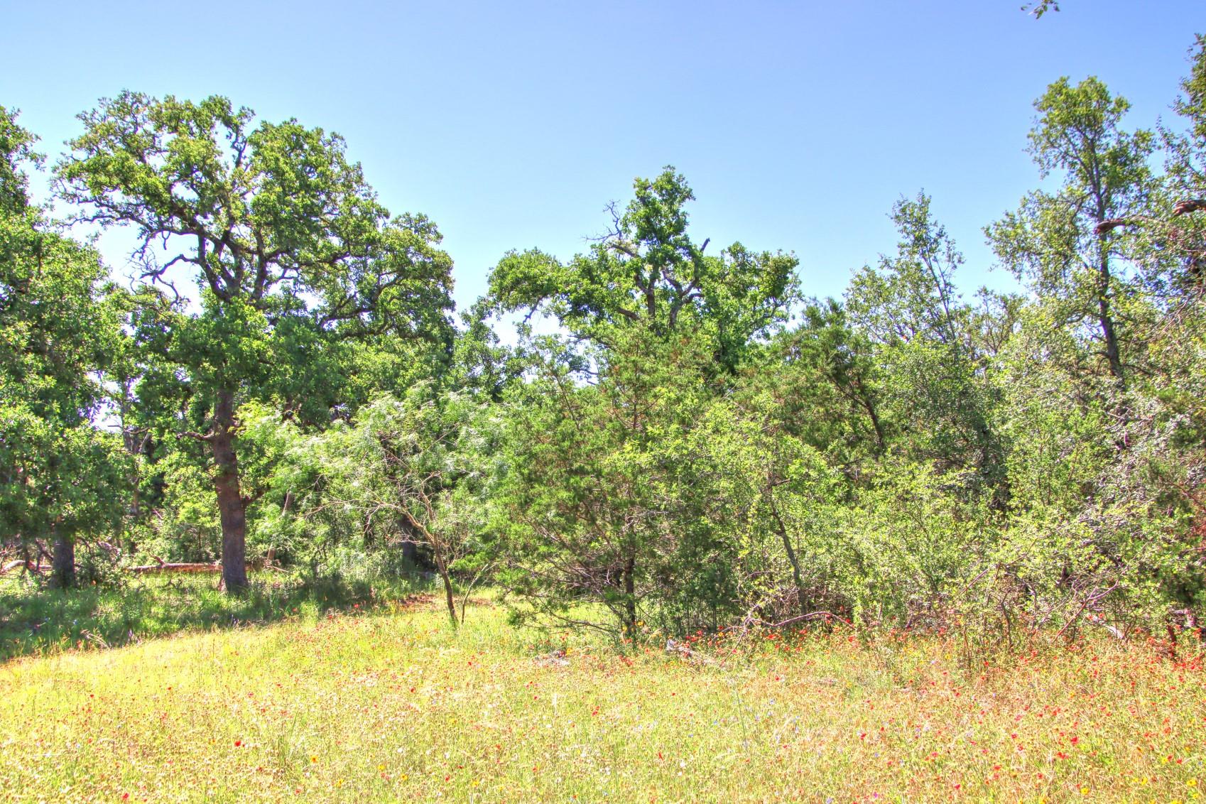 Lot 6 RM 1323, Willow City, TX 78675