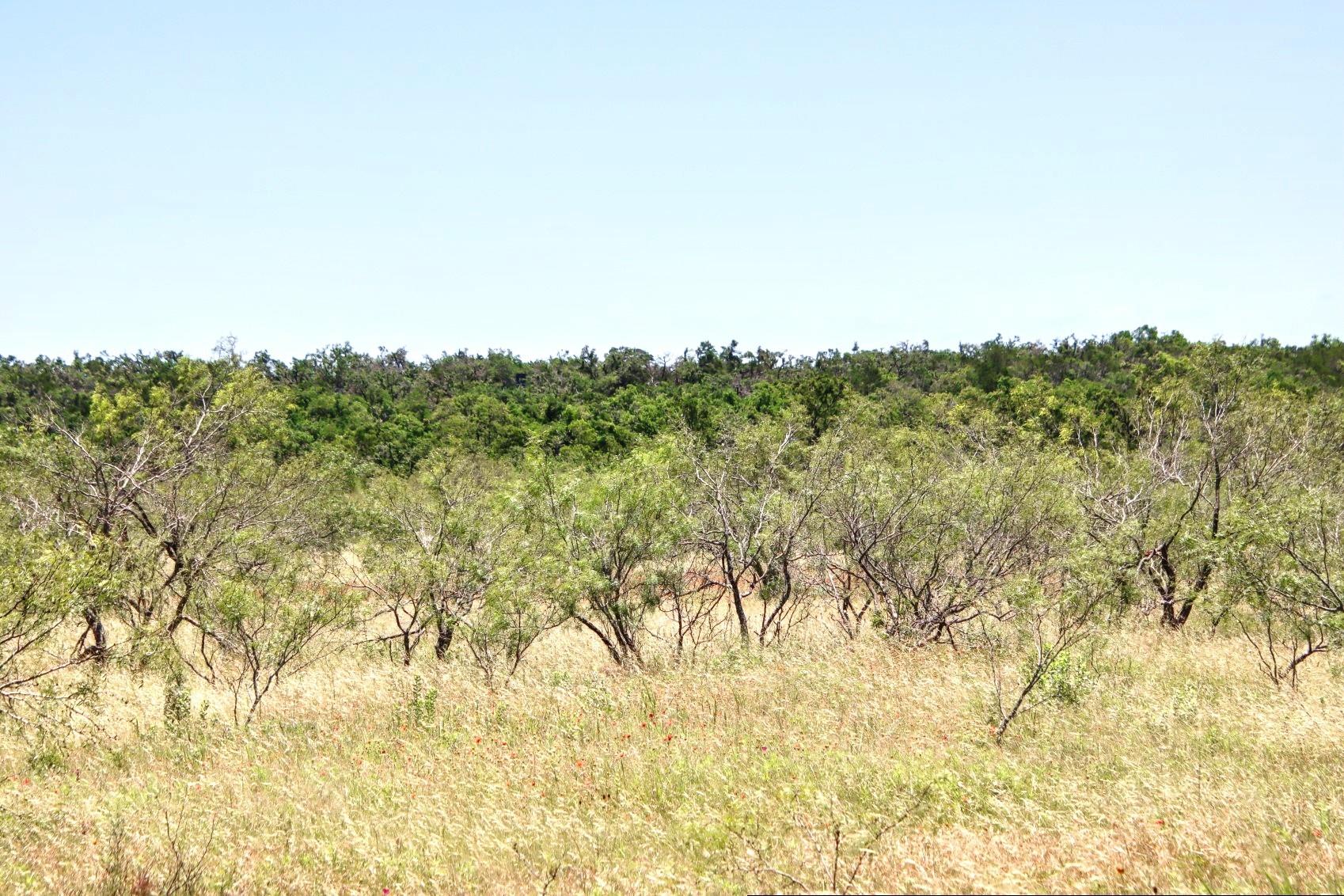 Lot 6 RM 1323, Willow City, TX 78675