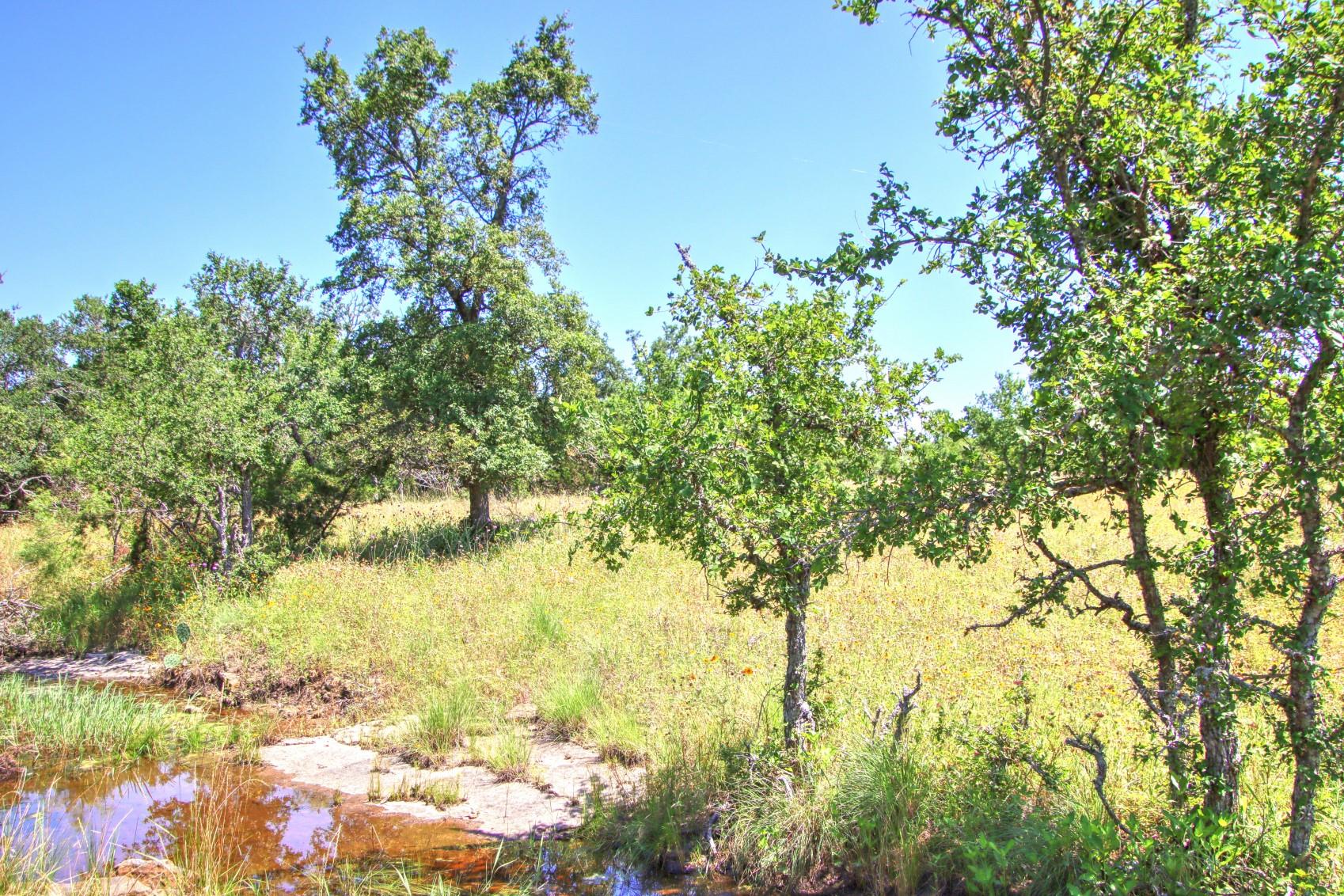 Lot 6 RM 1323, Willow City, TX 78675