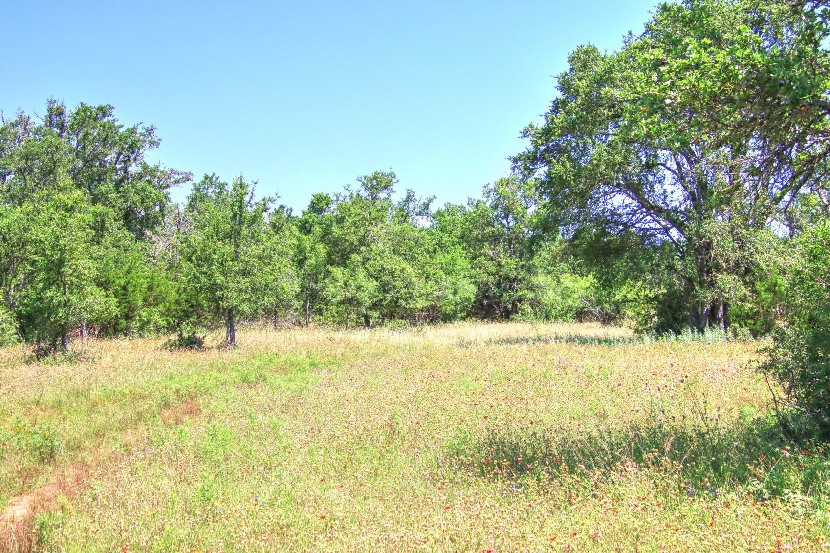 Lot 6 RM 1323, Willow City, TX 78675