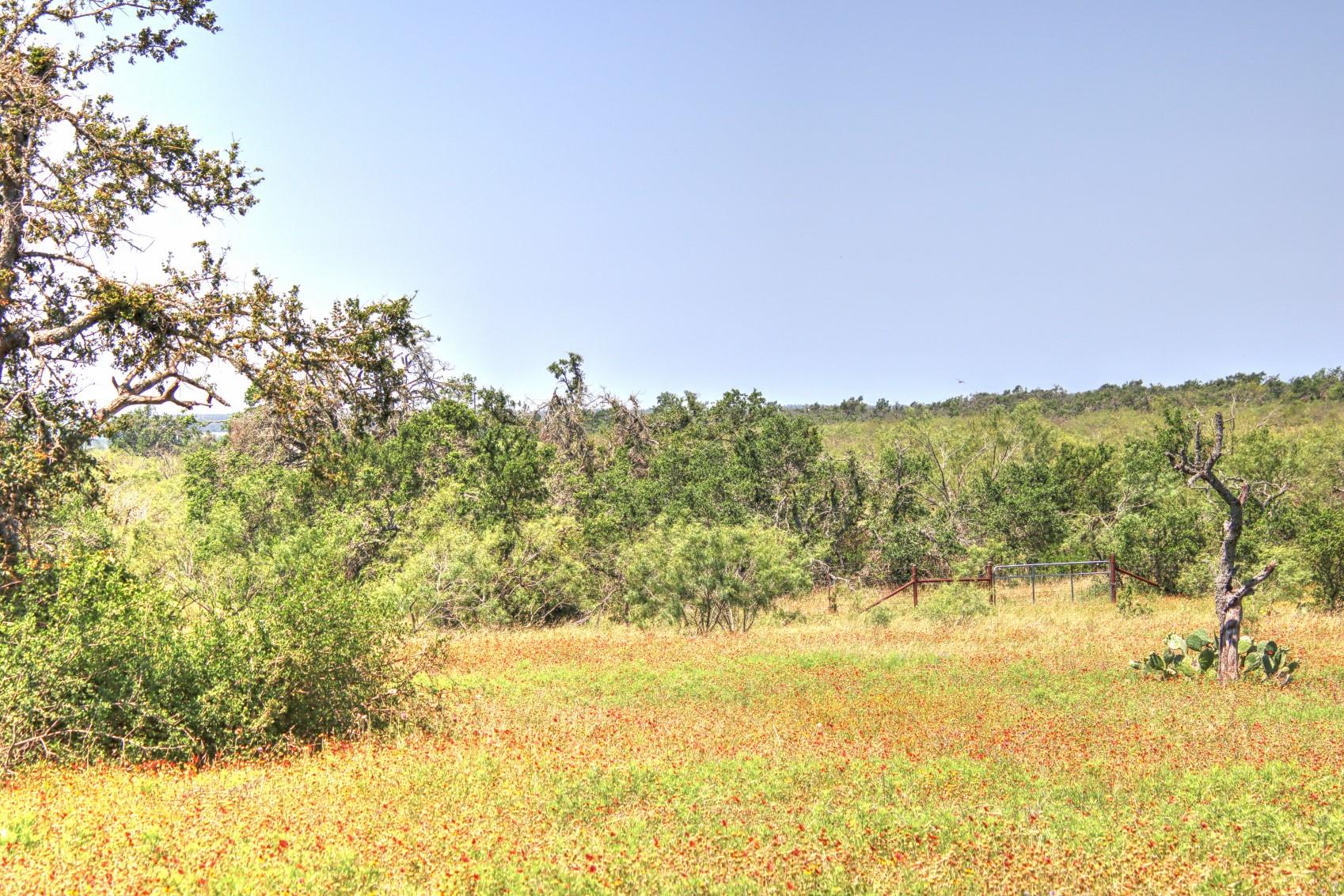 Lot 6 RM 1323, Willow City, TX 78675